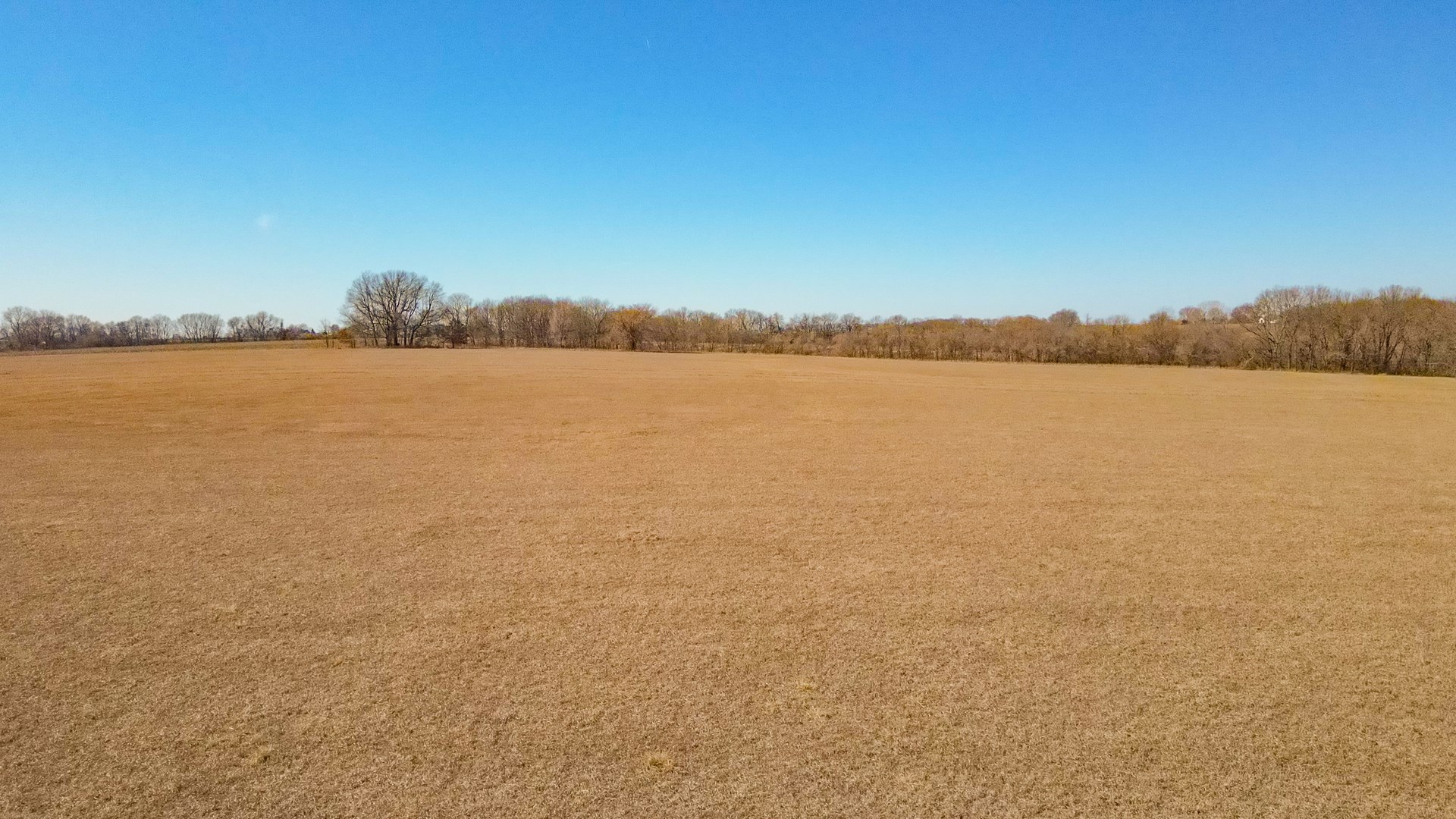 68.4+\- acres For Sale Cass County Mo