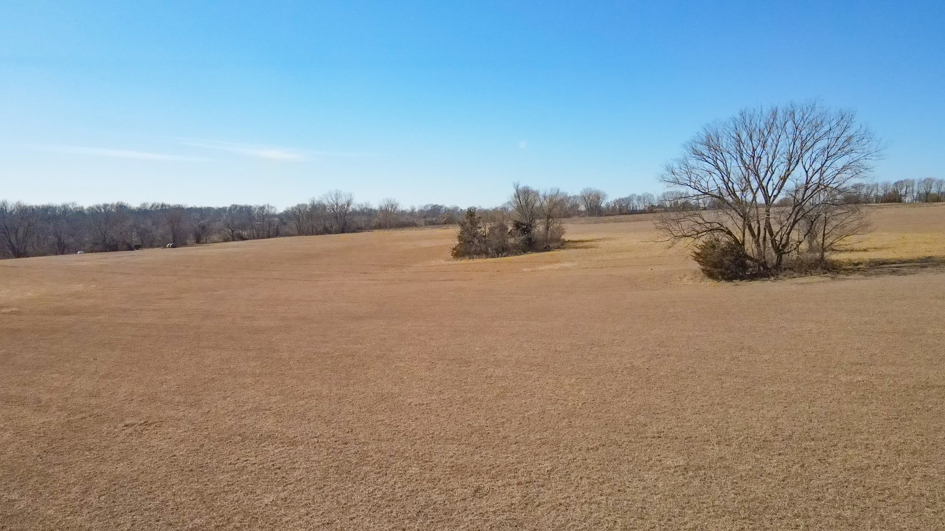 68.4+\- acres For Sale Cass County Mo