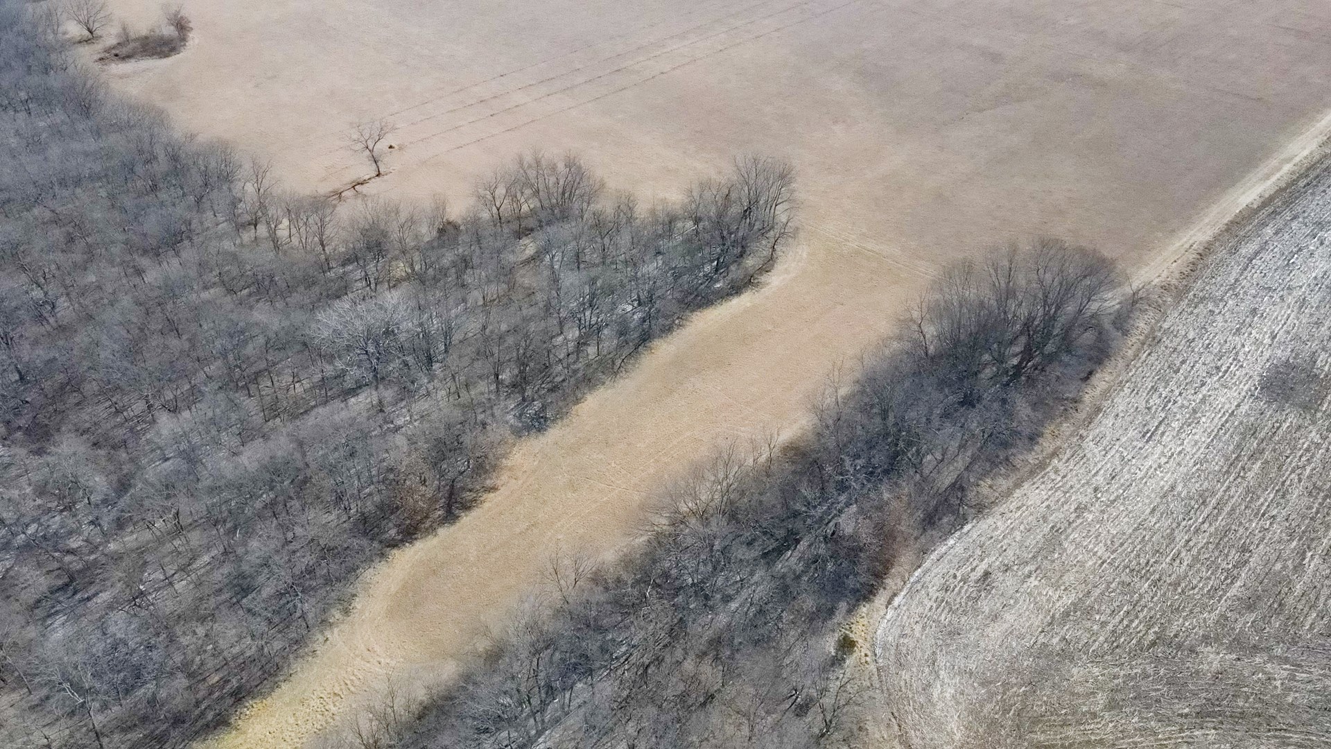 68.4+\- acres For Sale Cass County Mo