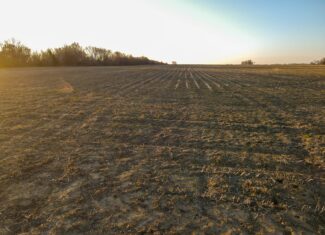 Land for Sale in Barton County