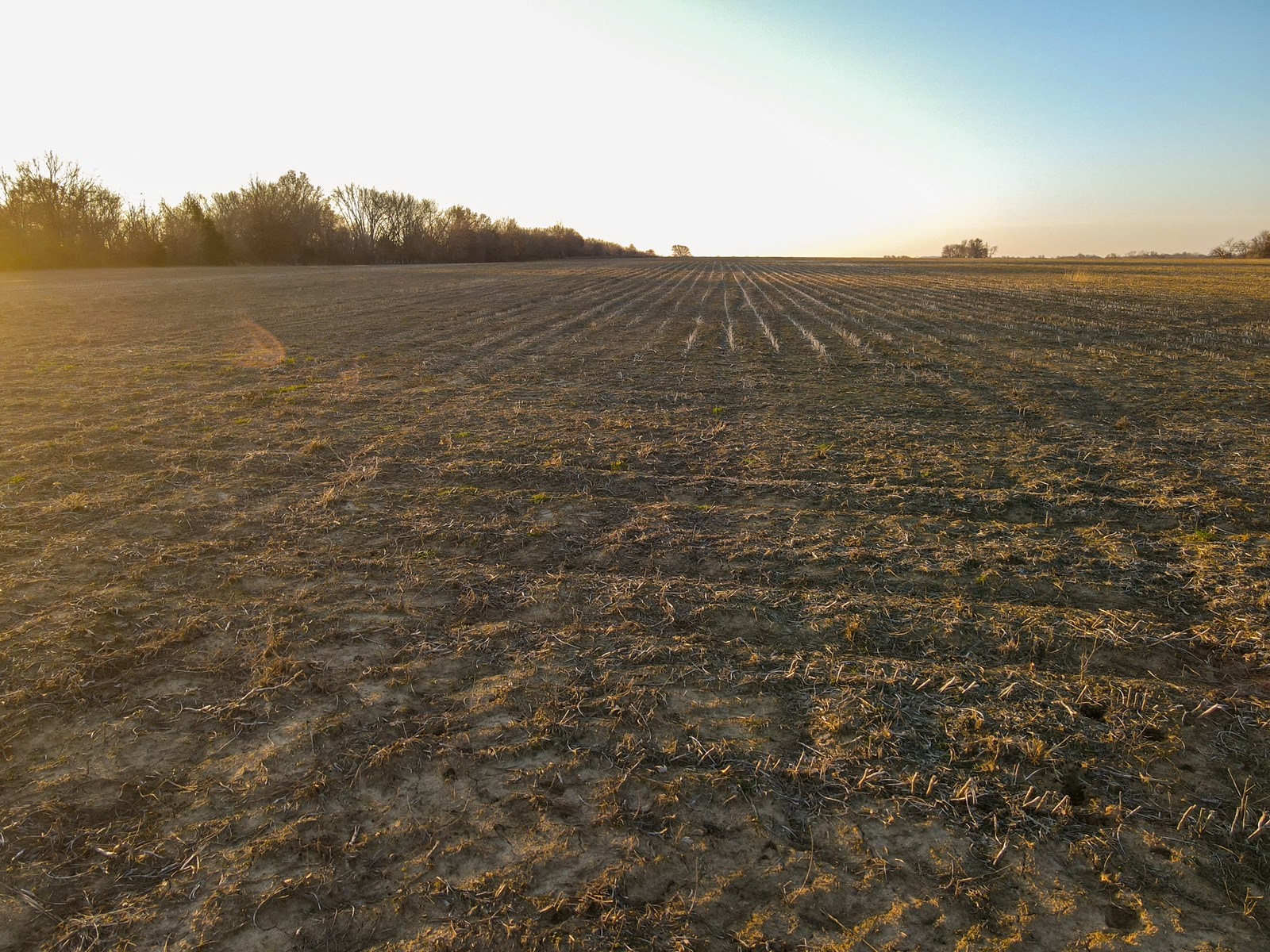 Land for Sale in Barton County