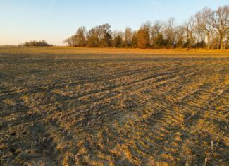 Land for Sale in Barton County