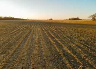 Land for Sale in Barton County