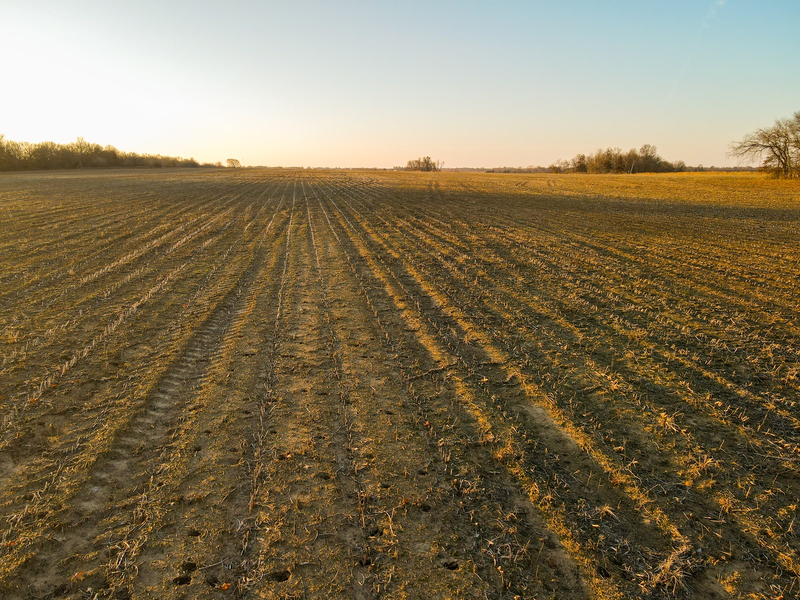 Land for Sale in Barton County