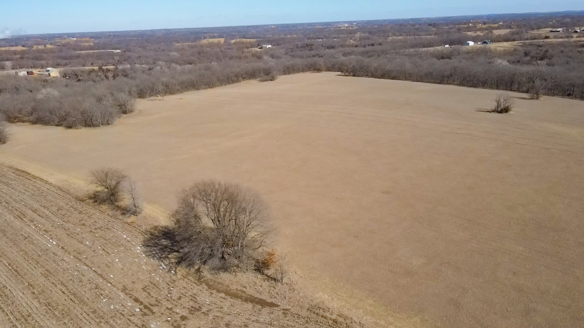 68.4+\- acres For Sale Cass County Mo