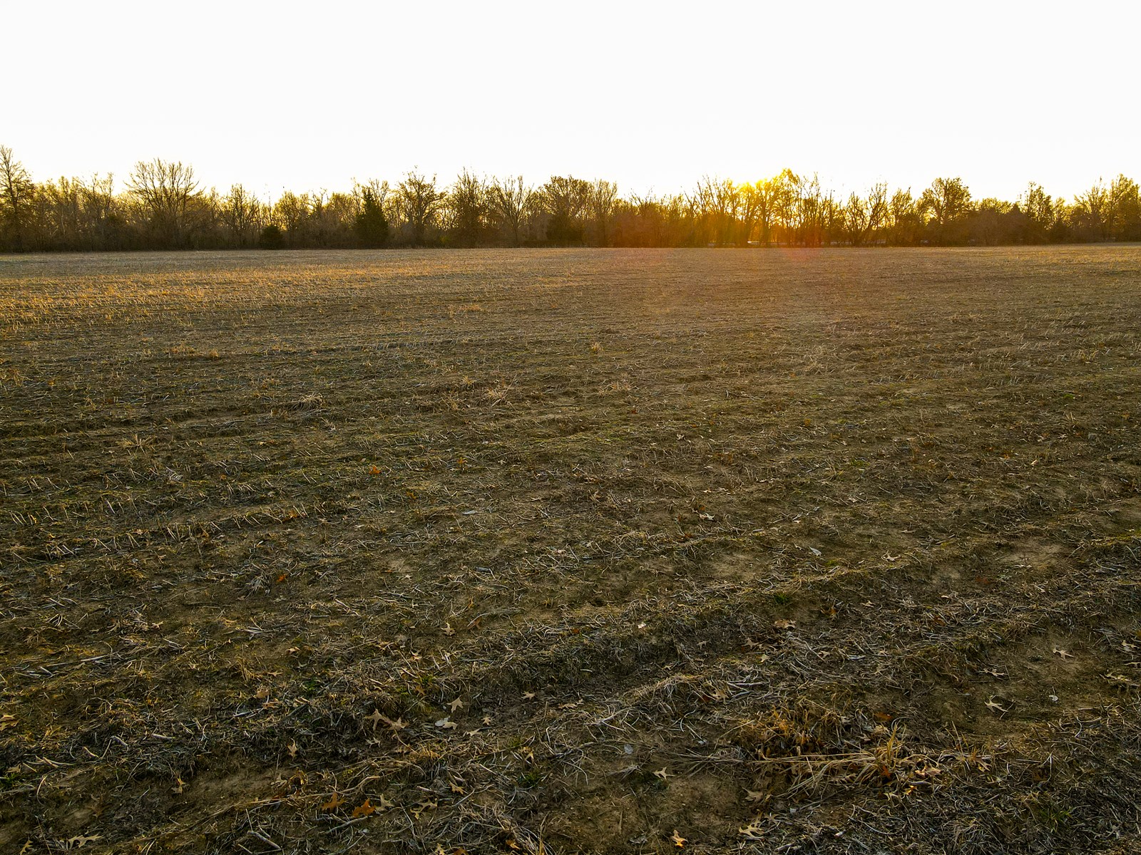 Land for Sale in Barton County
