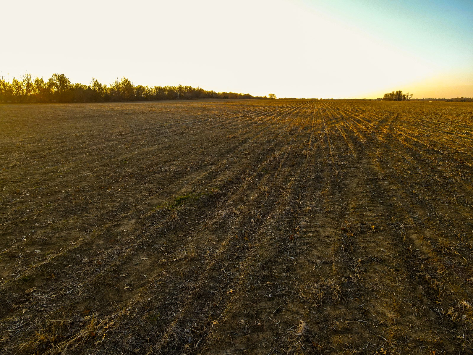 Land for Sale in Barton County