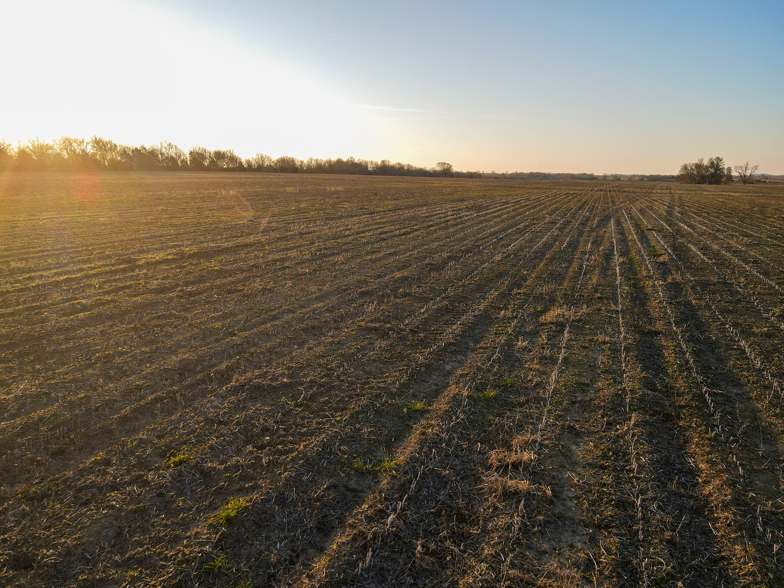 Land for Sale in Barton County