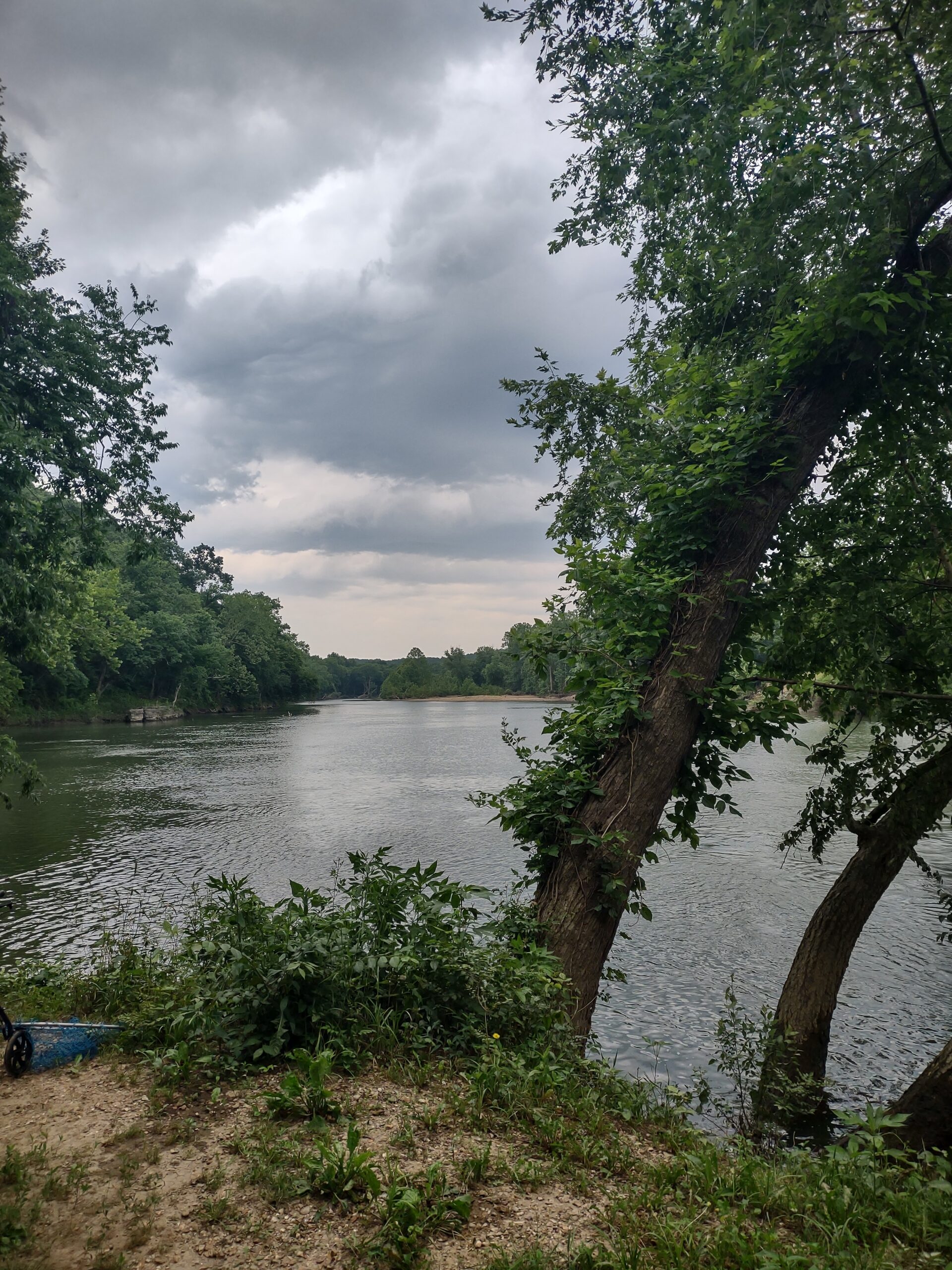 Vacant Hunting Land For Sale in Laclede County, Falcon, Missouri