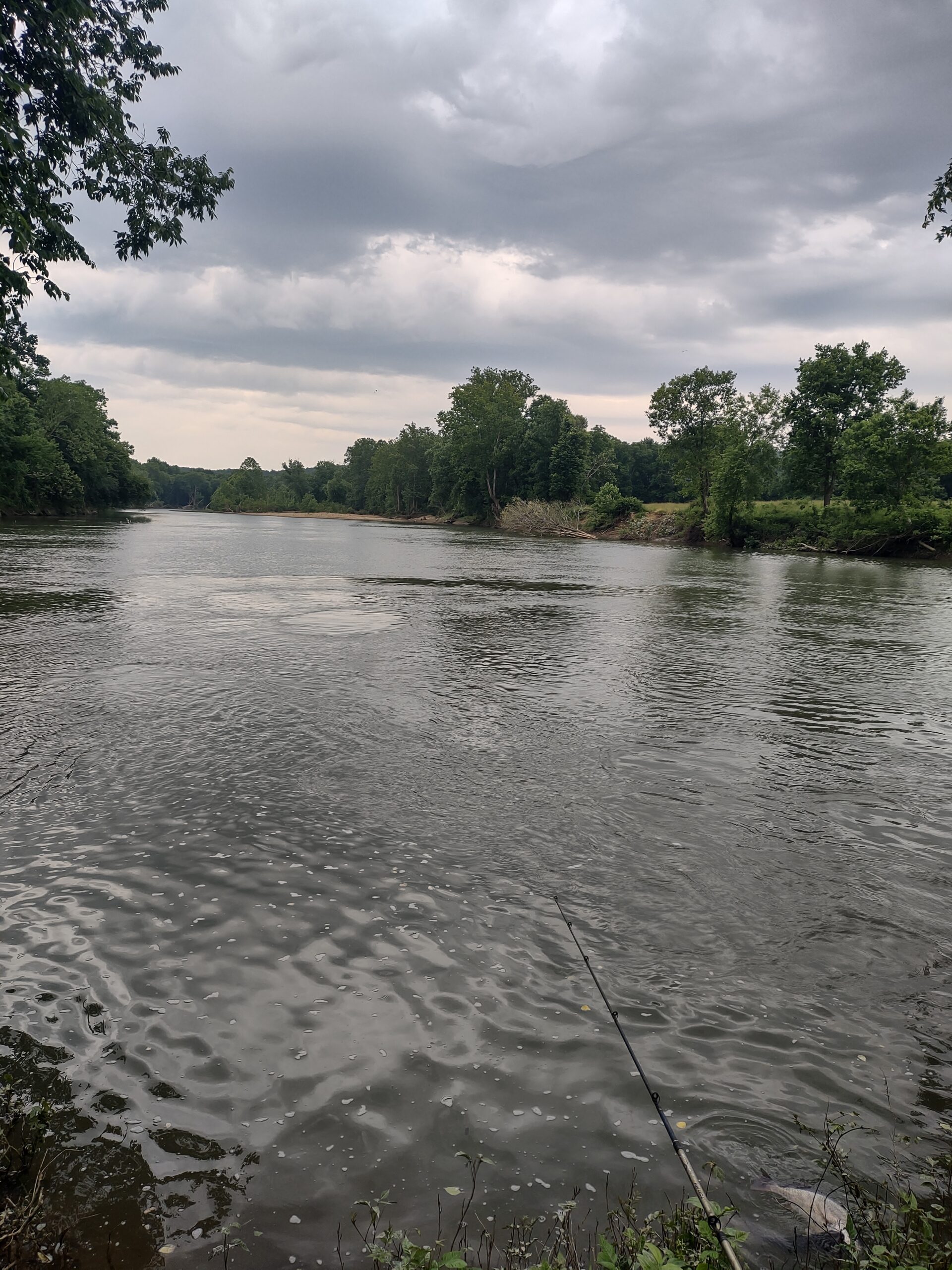 Vacant Hunting Land For Sale in Laclede County, Falcon, Missouri