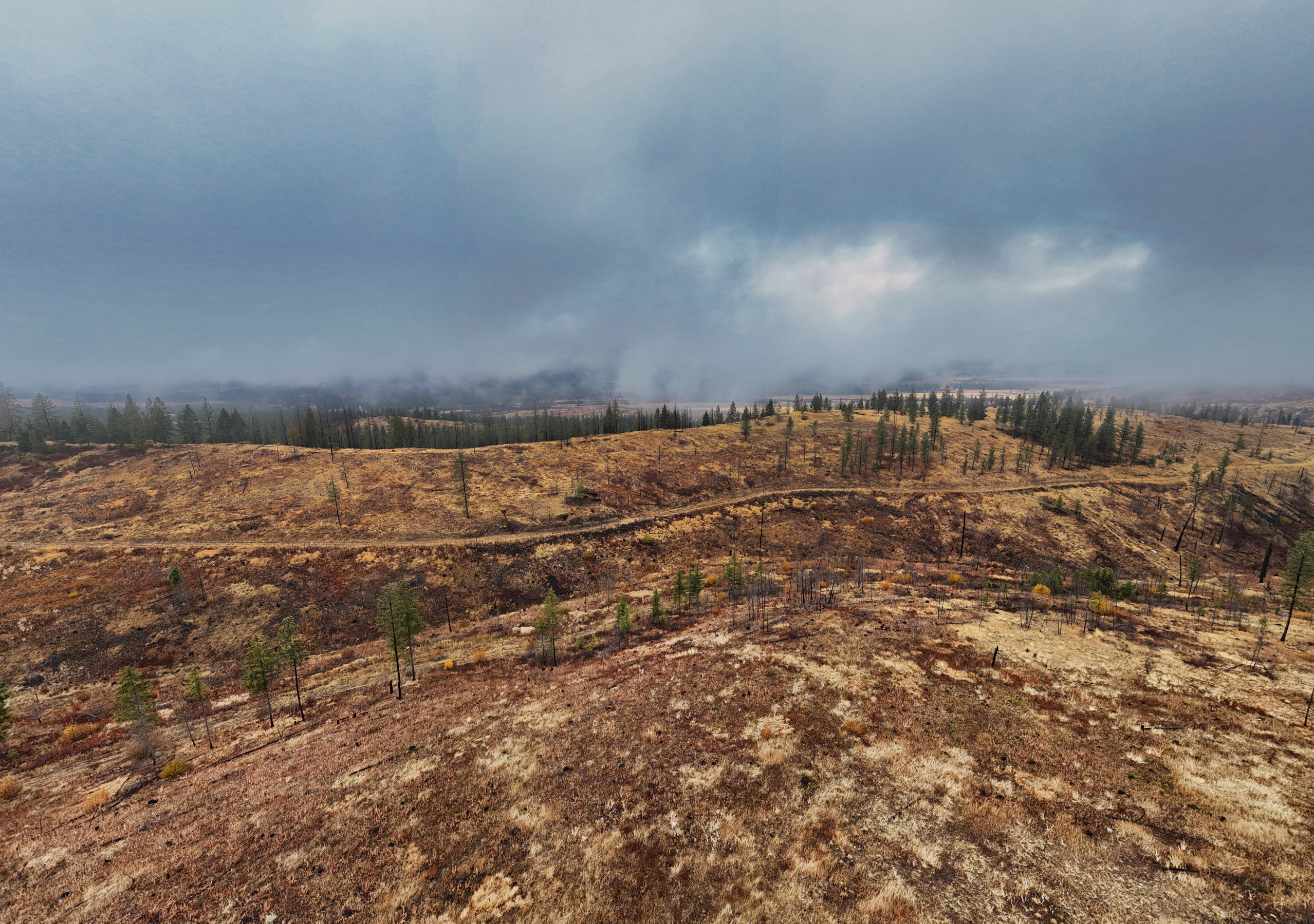 1200 Ac ~ 4 contiguous Parcels in Stevens County, WA just Minutes from Long Lake