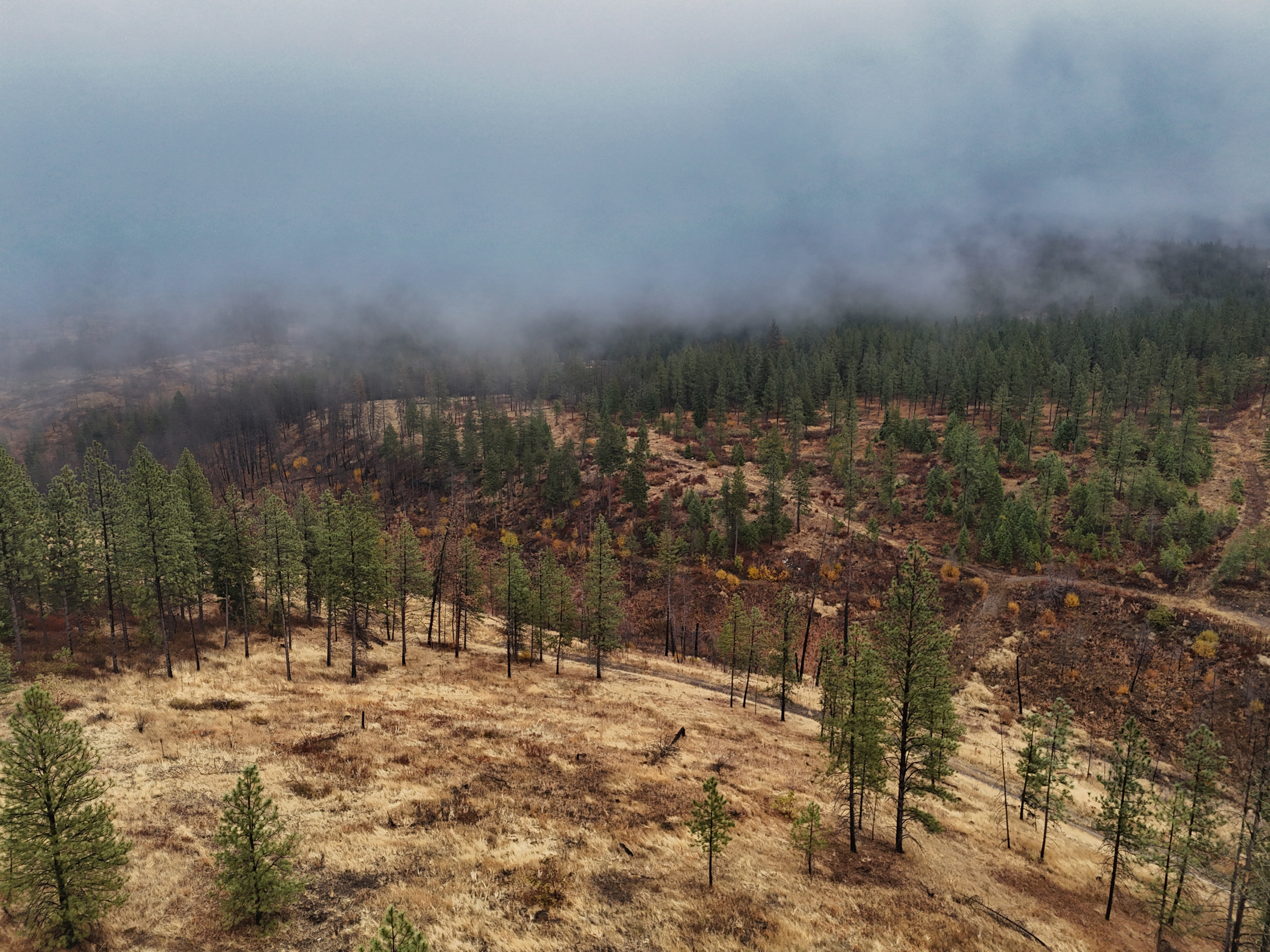 1200 Ac ~ 4 contiguous Parcels in Stevens County, WA just Minutes from Long Lake