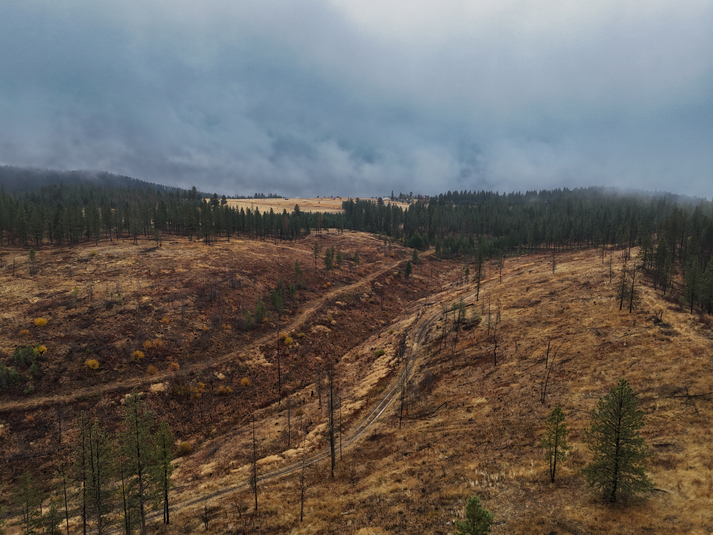 1200 Ac ~ 4 contiguous Parcels in Stevens County, WA just Minutes from Long Lake