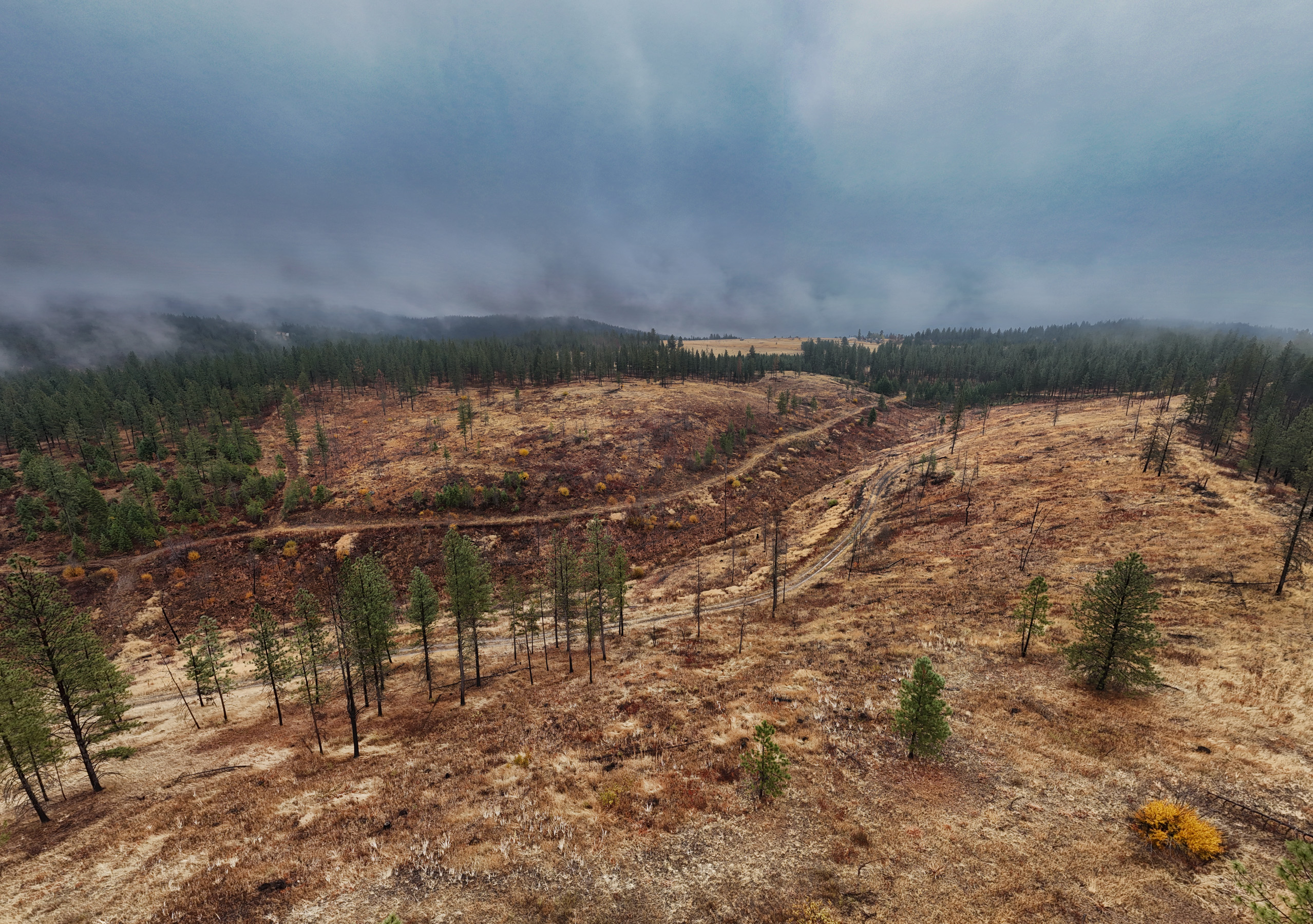 1200 Ac ~ 4 contiguous Parcels in Stevens County, WA just Minutes from Long Lake