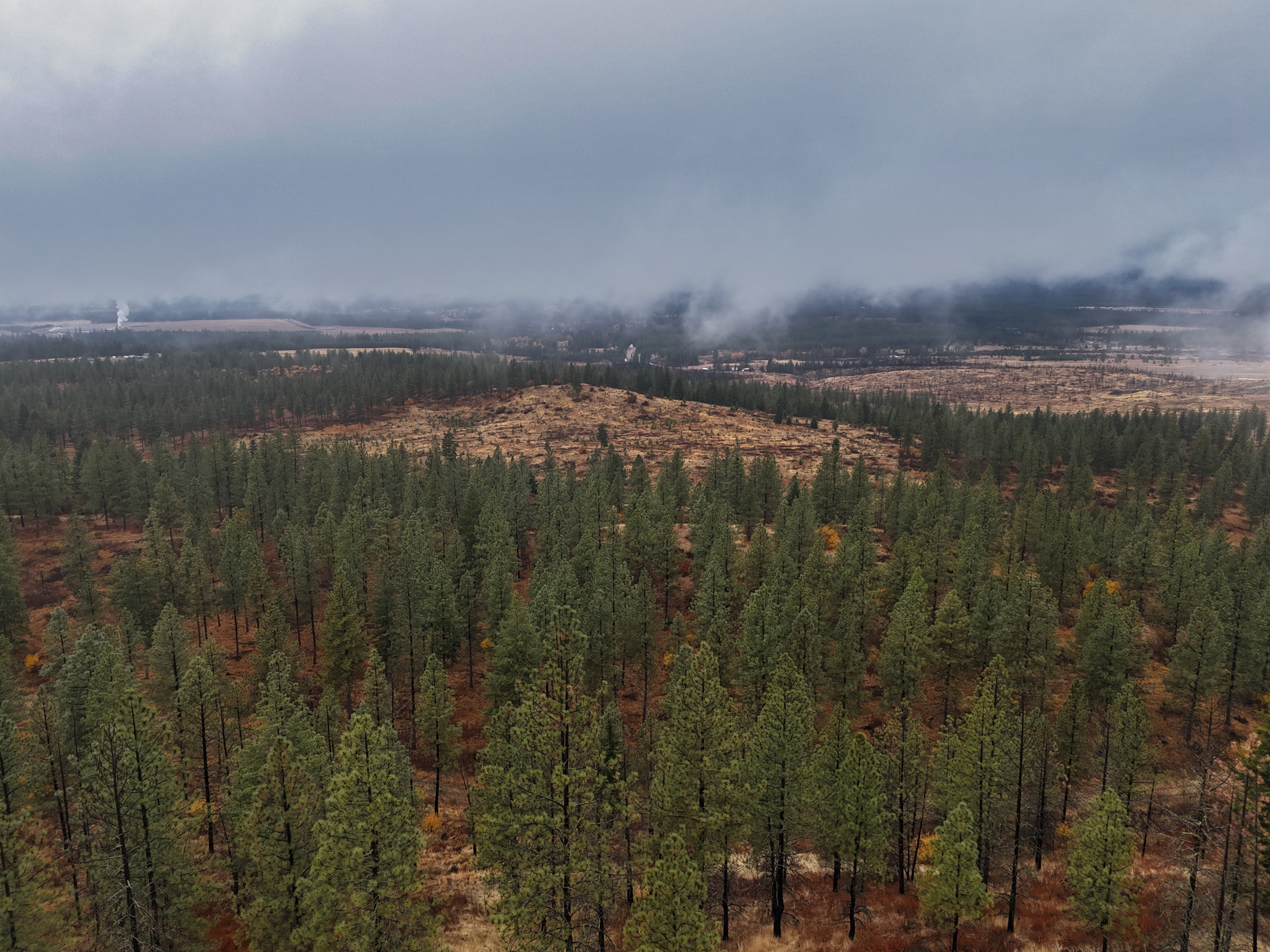 1200 Ac ~ 4 contiguous Parcels in Stevens County, WA just Minutes from Long Lake