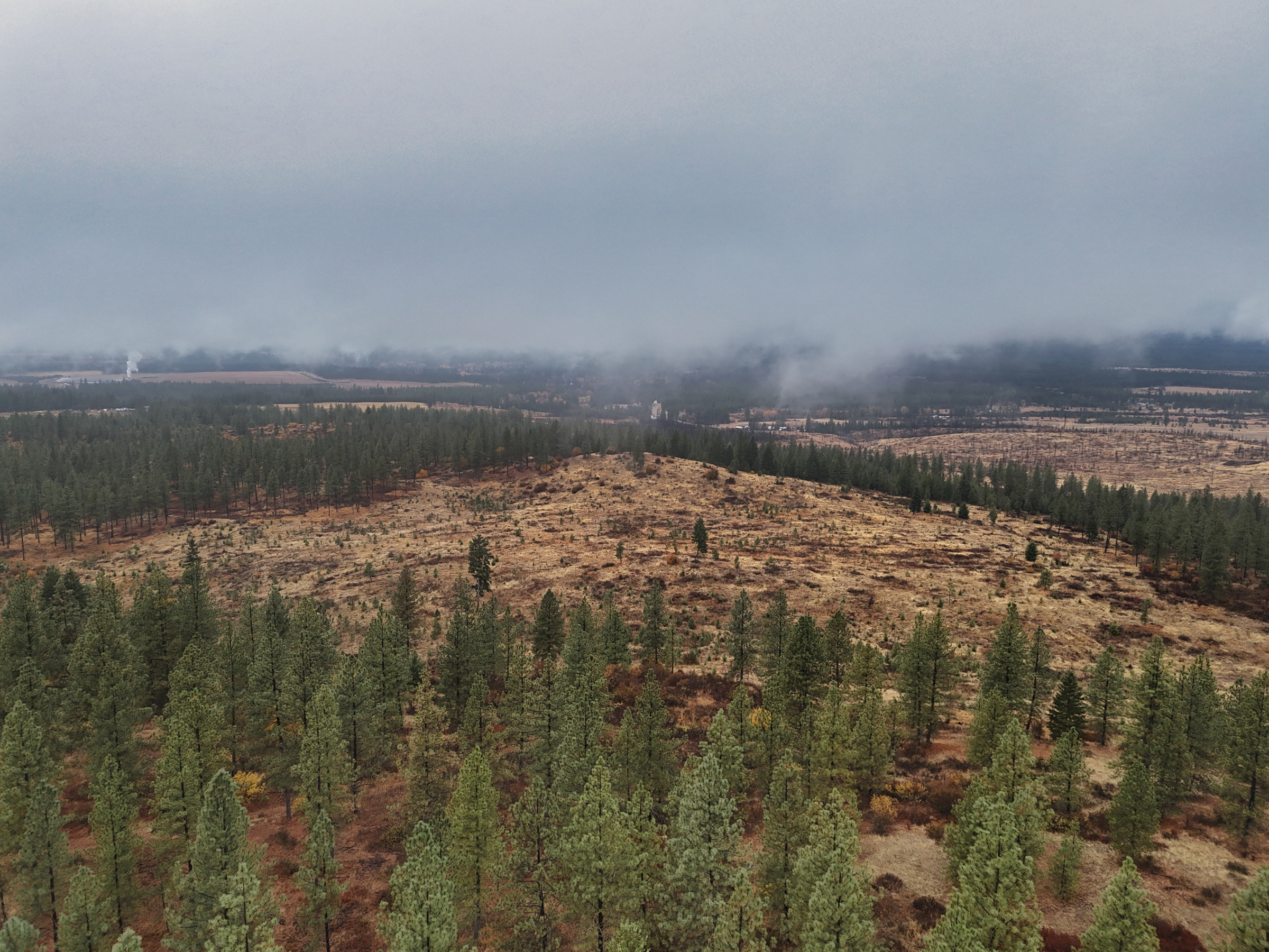 1200 Ac ~ 4 contiguous Parcels in Stevens County, WA just Minutes from Long Lake