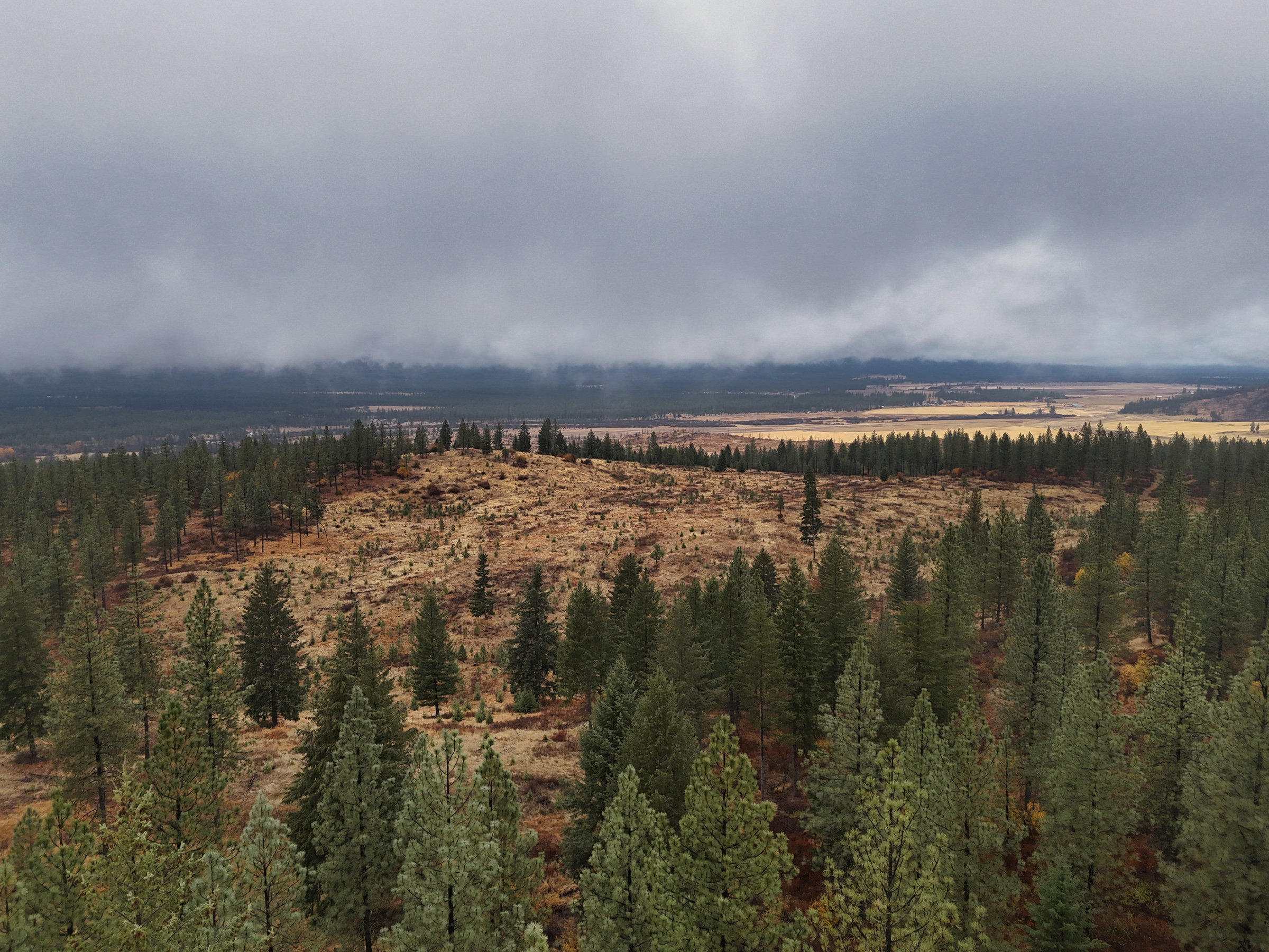 1200 Ac ~ 4 contiguous Parcels in Stevens County, WA just Minutes from Long Lake