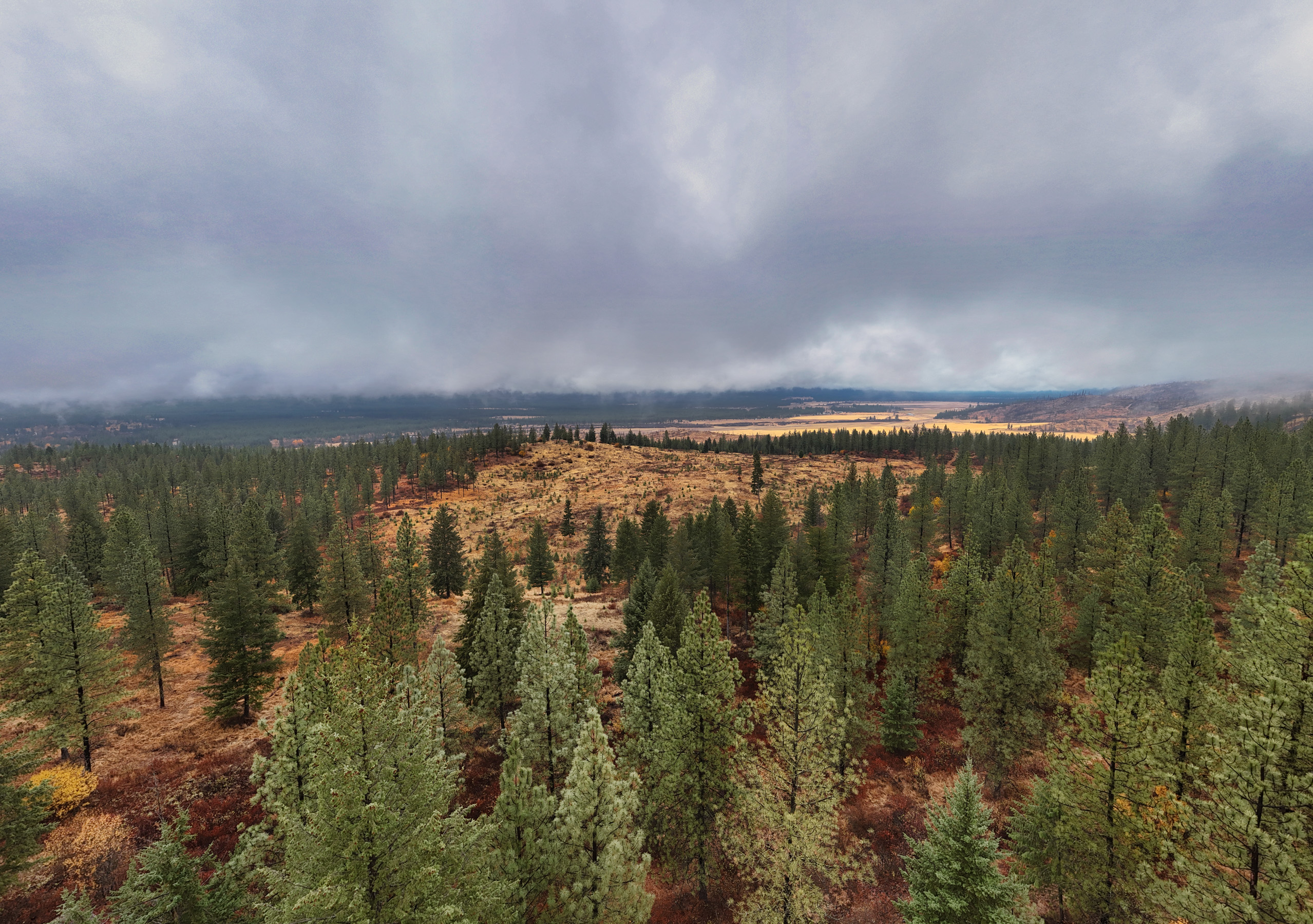 1200 Ac ~ 4 contiguous Parcels in Stevens County, WA just Minutes from Long Lake