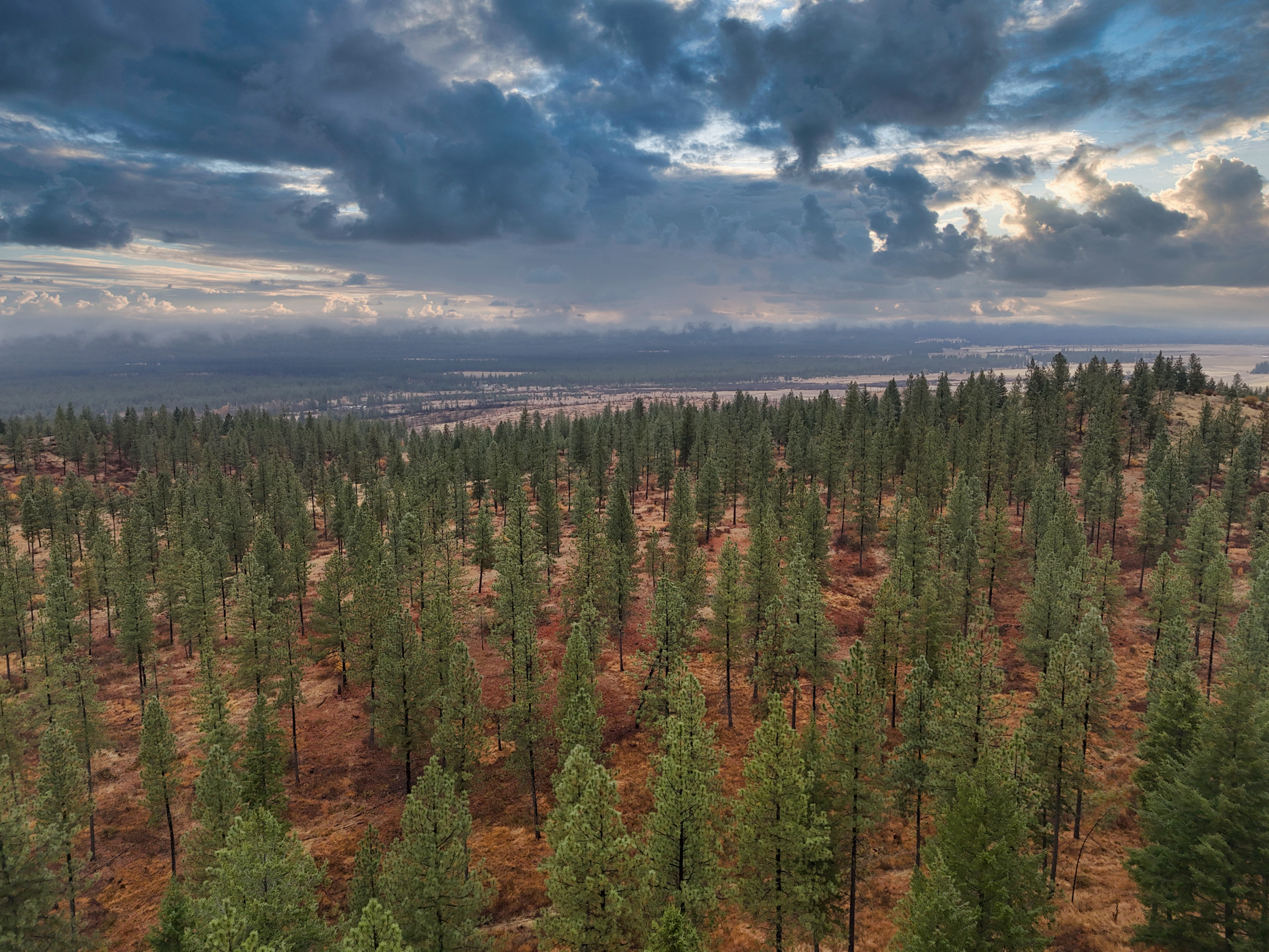 1200 Ac ~ 4 contiguous Parcels in Stevens County, WA just Minutes from Long Lake