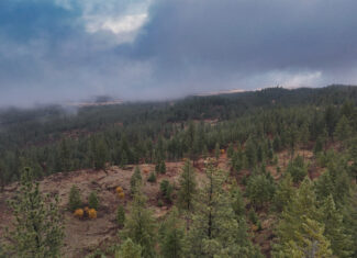 1200 Ac ~ 4 contiguous Parcels in Stevens County, WA just Minutes from Long Lake