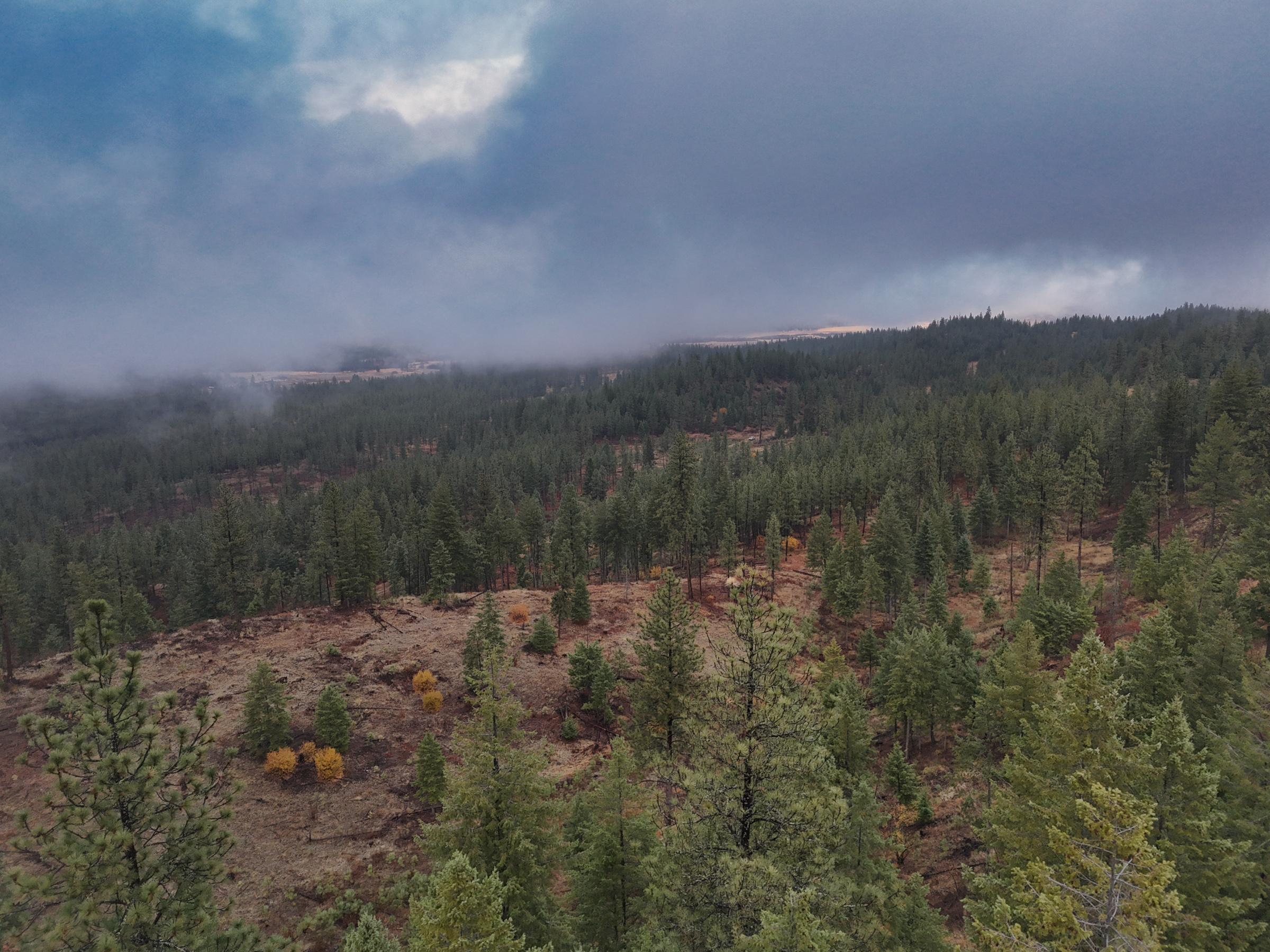 1200 Ac ~ 4 contiguous Parcels in Stevens County, WA just Minutes from Long Lake
