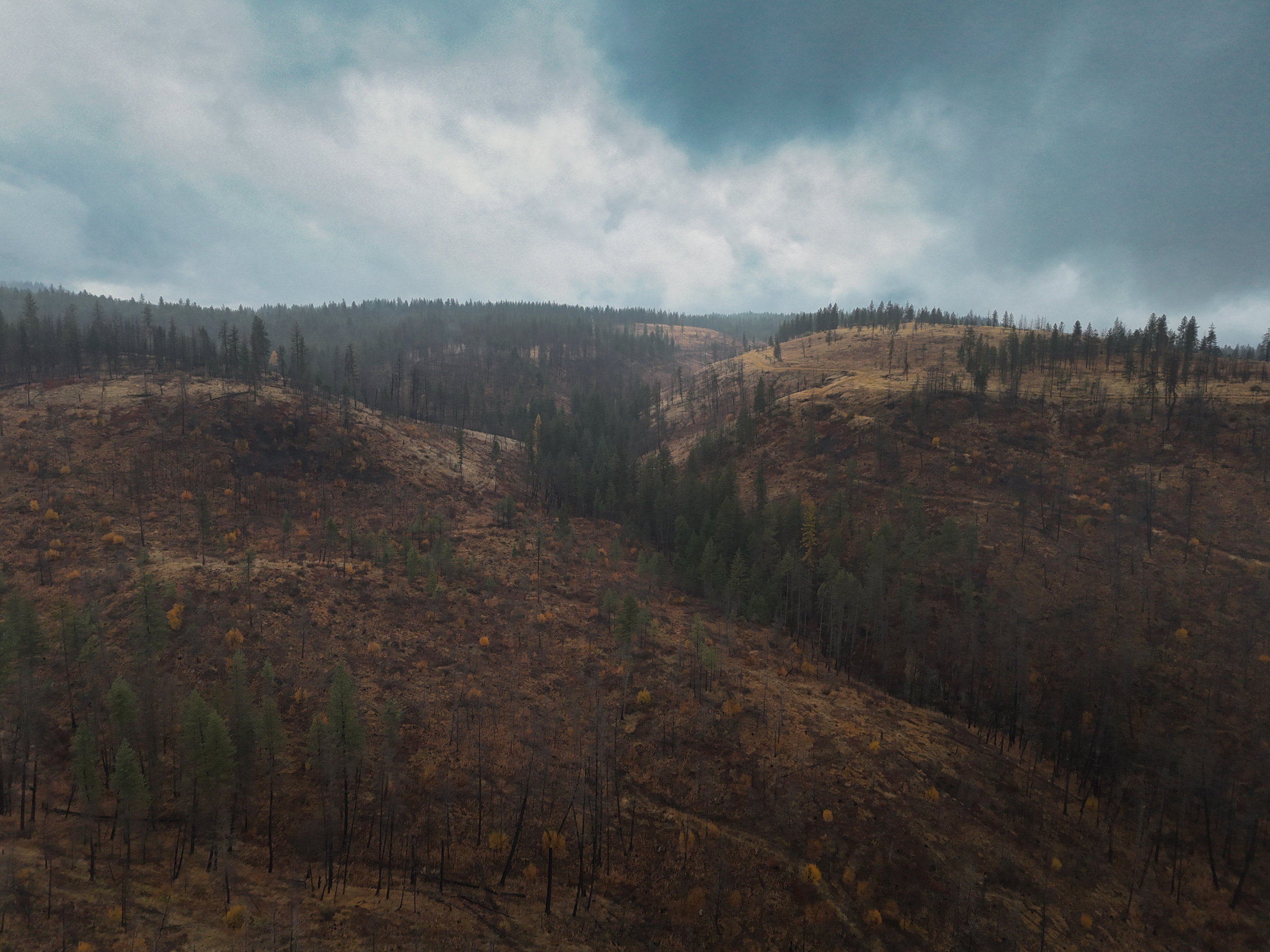 1200 Ac ~ 4 contiguous Parcels in Stevens County, WA just Minutes from Long Lake