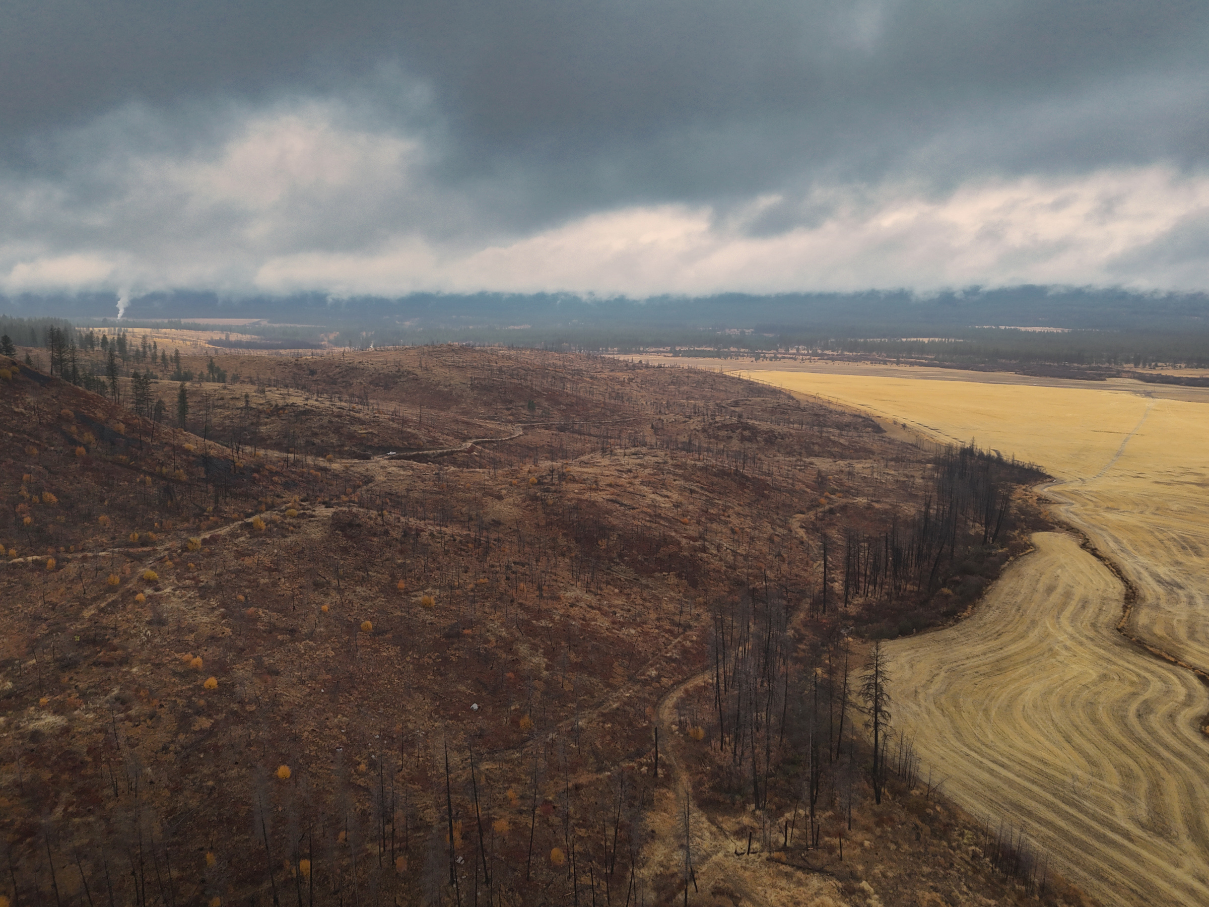 1200 Ac ~ 4 contiguous Parcels in Stevens County, WA just Minutes from Long Lake