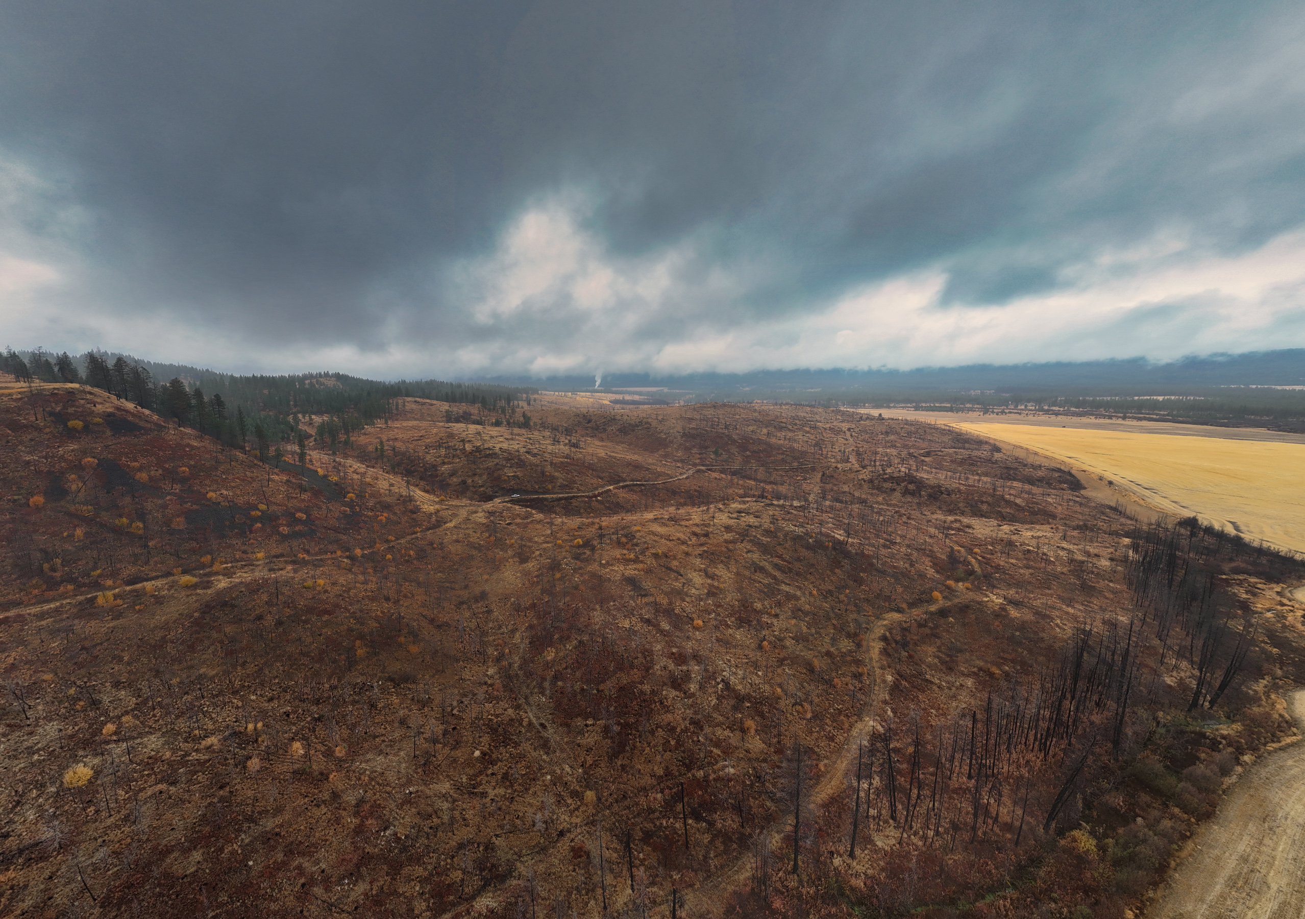 1200 Ac ~ 4 contiguous Parcels in Stevens County, WA just Minutes from Long Lake
