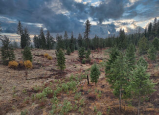 1200 Ac ~ 4 contiguous Parcels in Stevens County, WA just Minutes from Long Lake