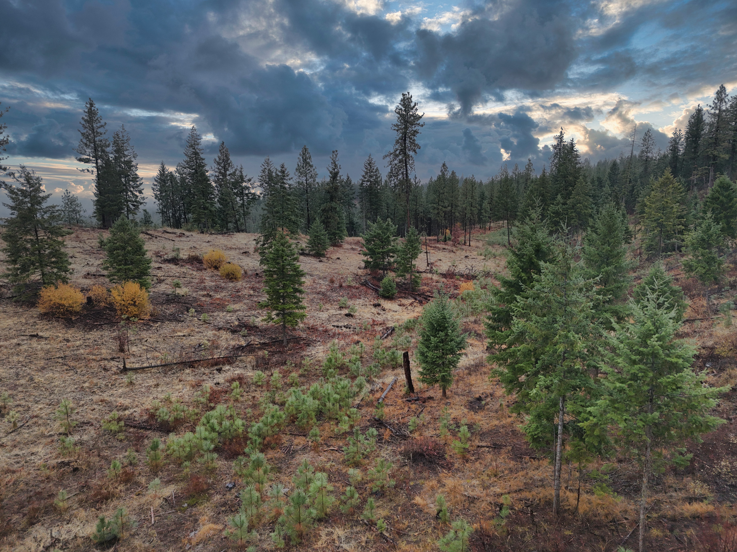 1200 Ac ~ 4 contiguous Parcels in Stevens County, WA just Minutes from Long Lake