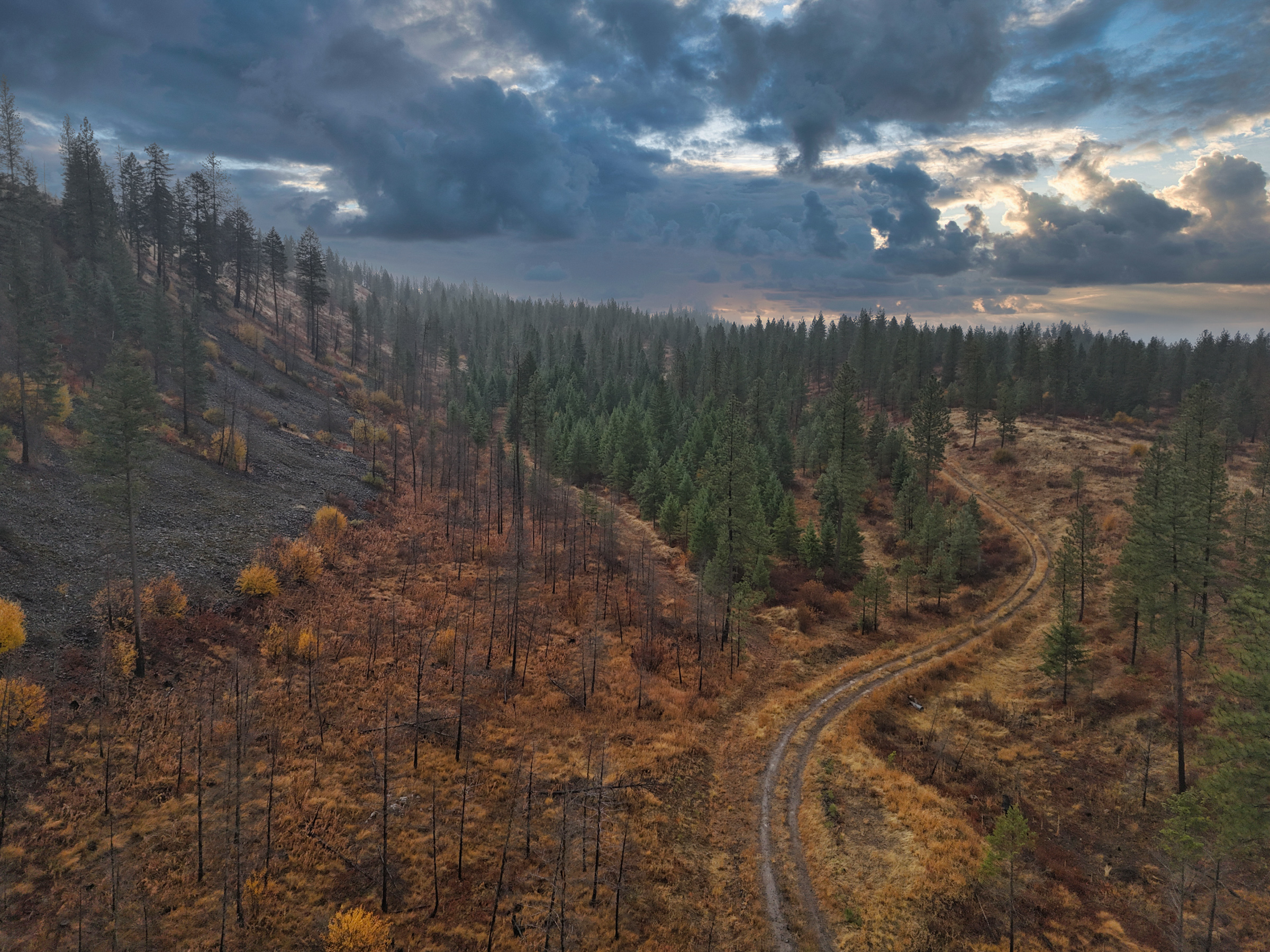 1200 Ac ~ 4 contiguous Parcels in Stevens County, WA just Minutes from Long Lake