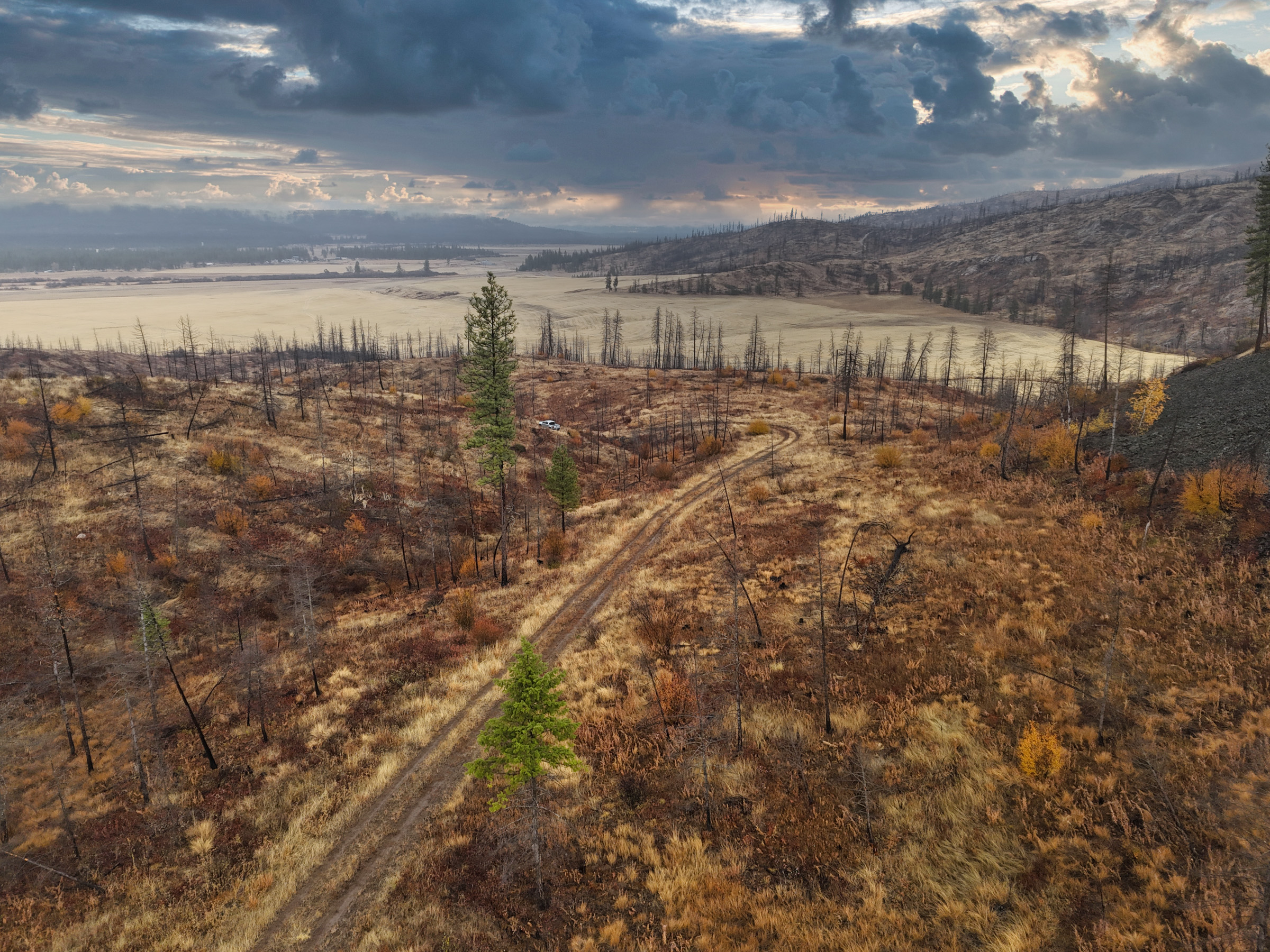 1200 Ac ~ 4 contiguous Parcels in Stevens County, WA just Minutes from Long Lake