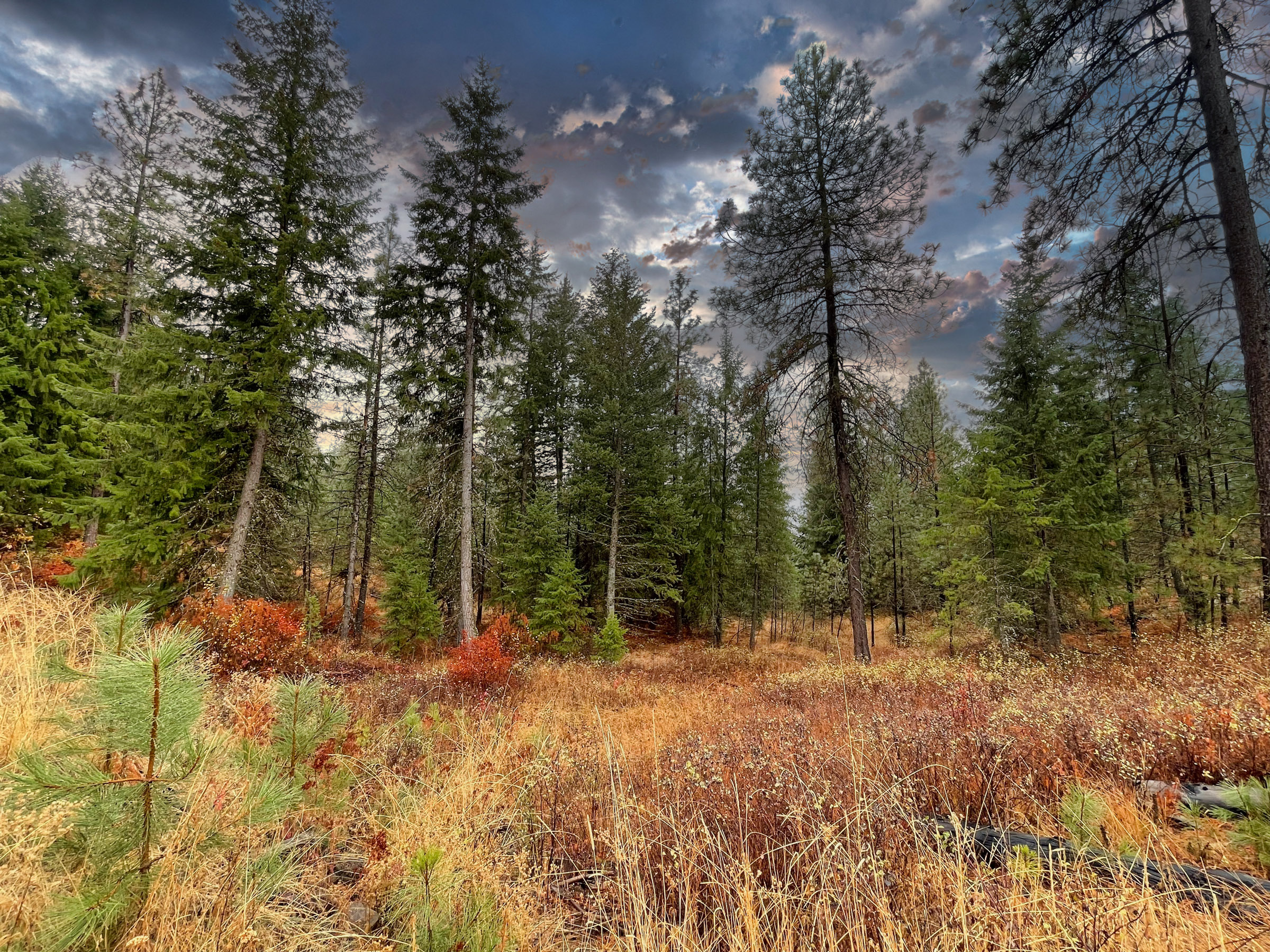 1200 Ac ~ 4 contiguous Parcels in Stevens County, WA just Minutes from Long Lake