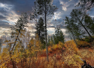 1200 Ac ~ 4 contiguous Parcels in Stevens County, WA just Minutes from Long Lake