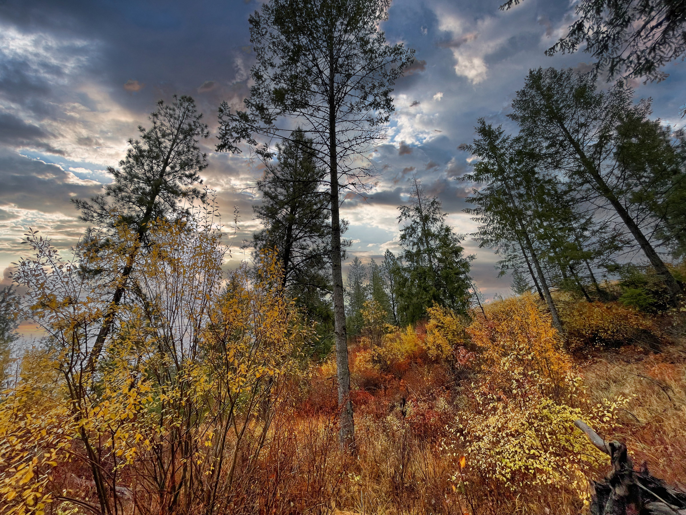 1200 Ac ~ 4 contiguous Parcels in Stevens County, WA just Minutes from Long Lake