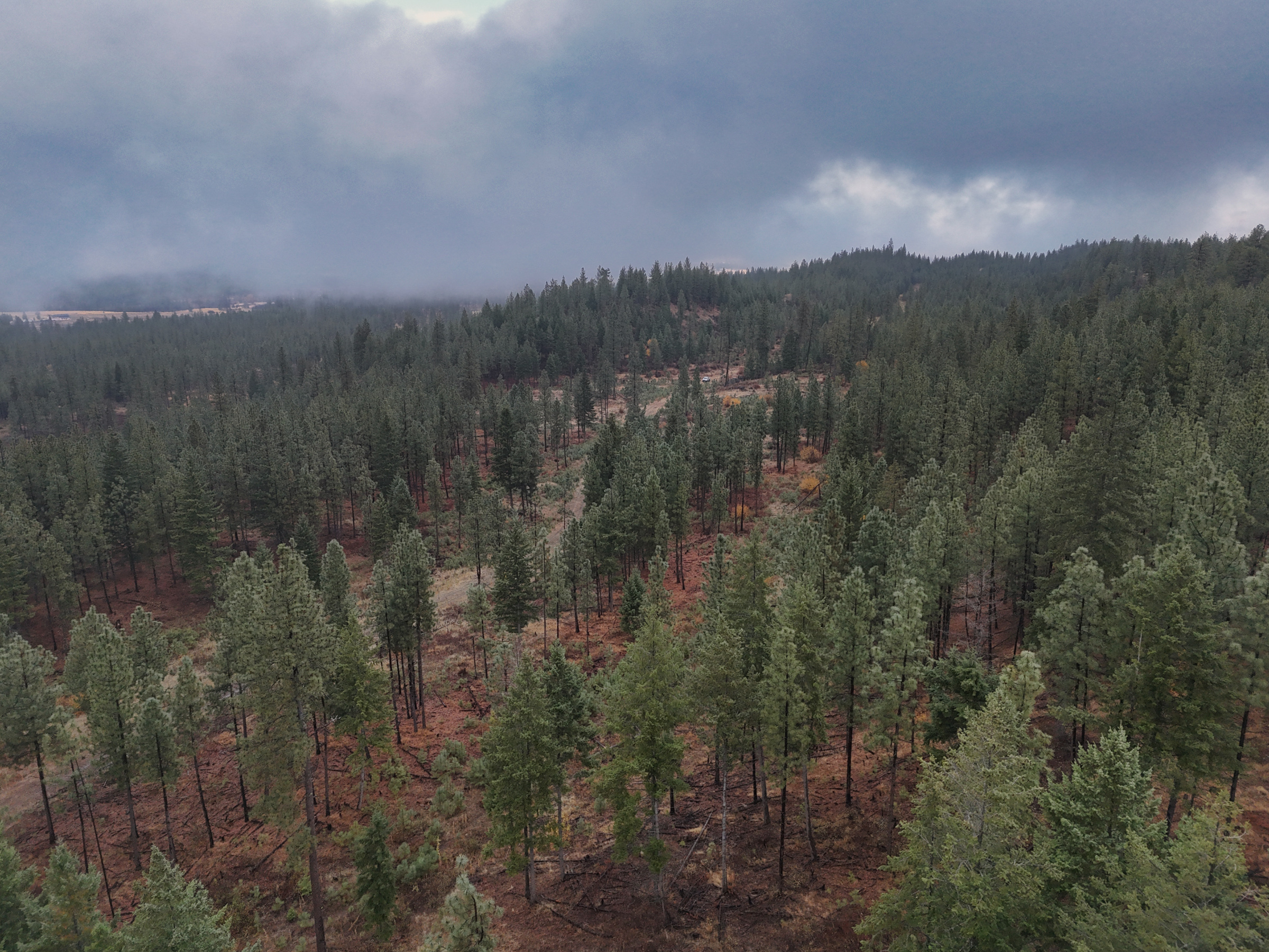 1200 Ac ~ 4 contiguous Parcels in Stevens County, WA just Minutes from Long Lake