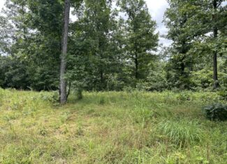 Secluded Wooded Acreage in the Missouri Ozarks