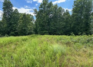 Secluded Wooded Acreage in the Missouri Ozarks