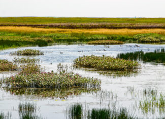 Pintail Ranch | Phillips County, Montana