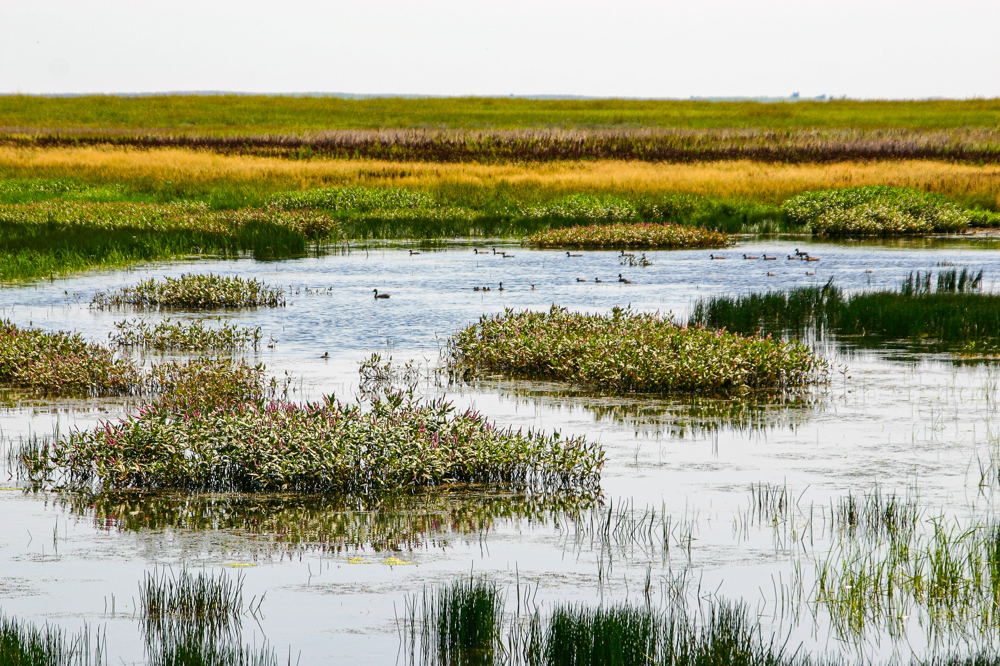 Pintail Ranch | Phillips County, Montana