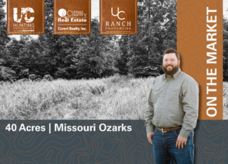 Secluded Wooded Acreage in the Missouri Ozarks