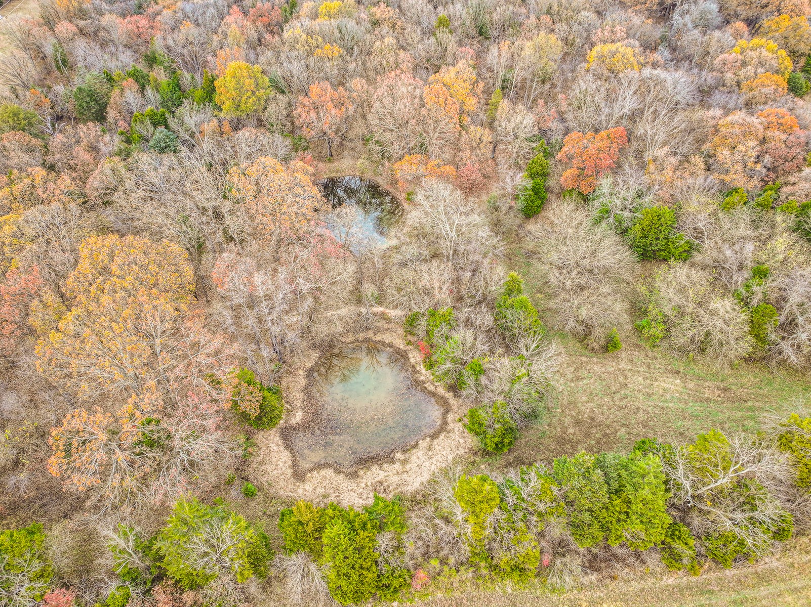 293 +/- acre hunting property for sale Lowry City MO