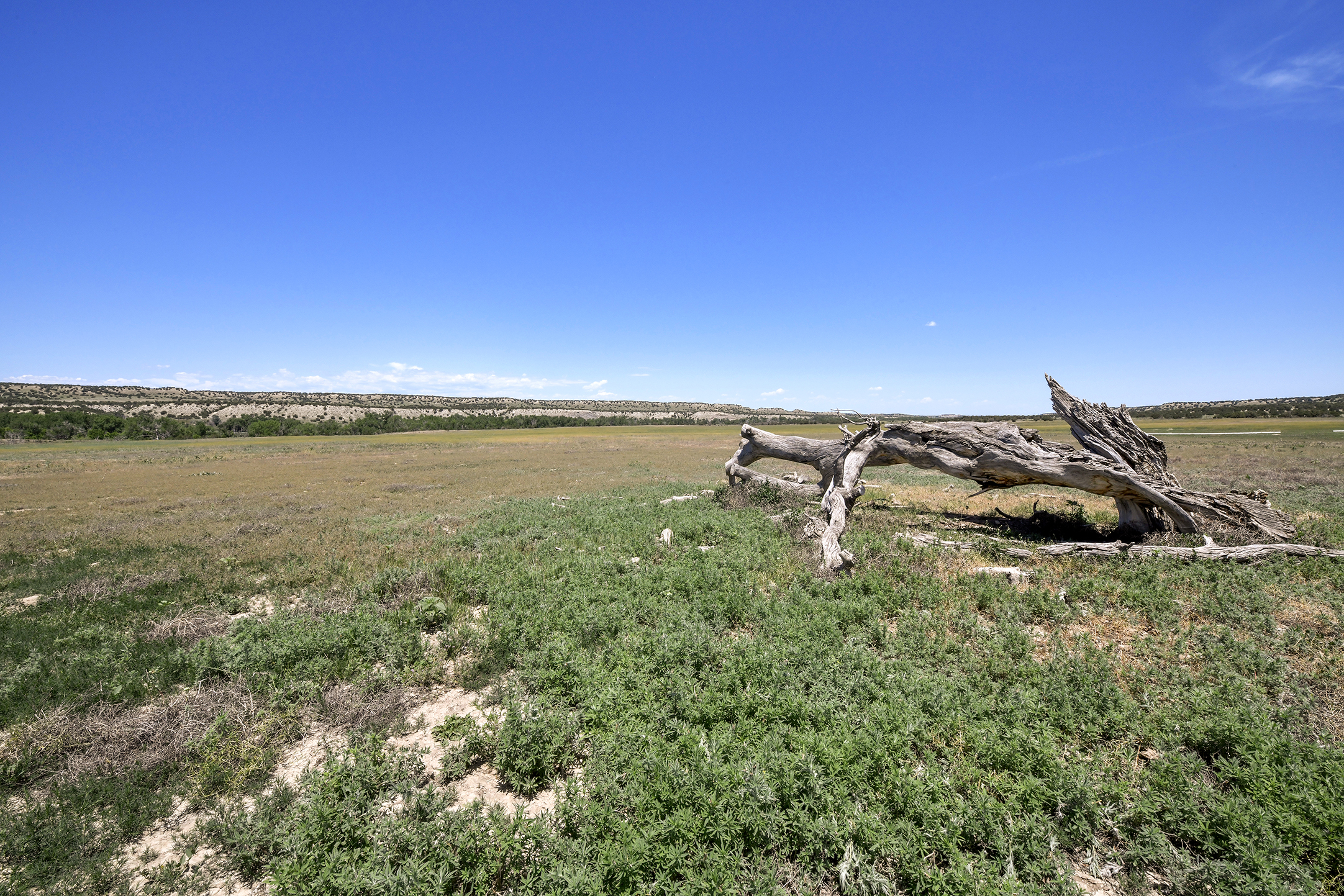 Burnt Mill Ranch – 643± Acres of Prime Colorado Ranchland