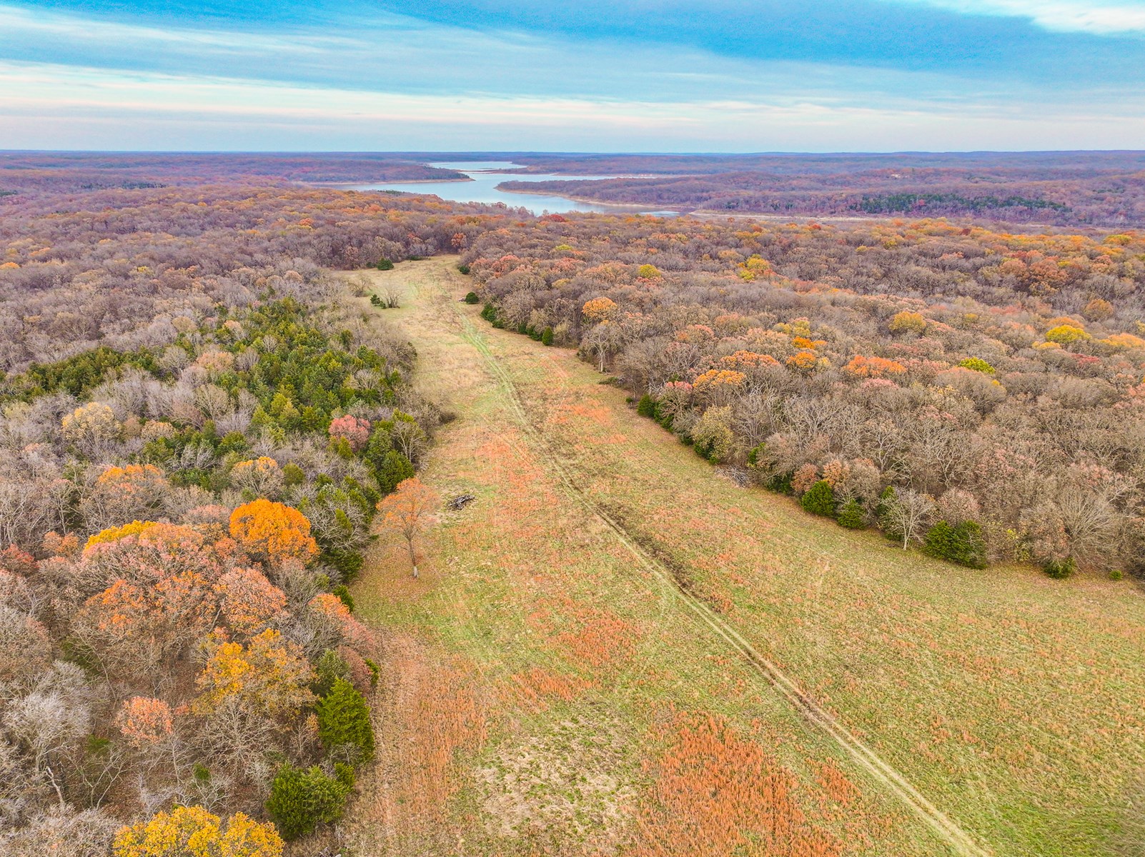 293 +/- acre hunting property for sale Lowry City MO