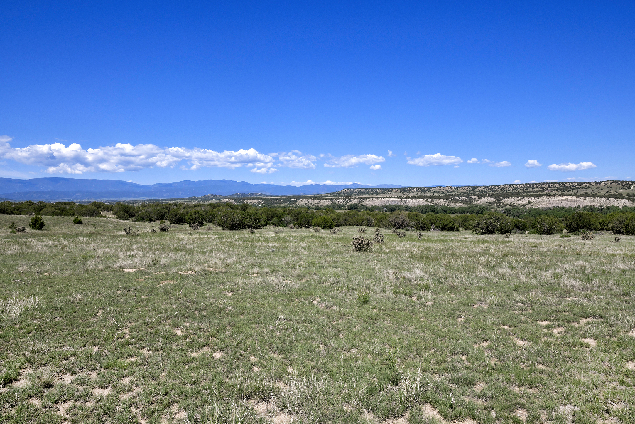 Burnt Mill Ranch – 643± Acres of Prime Colorado Ranchland