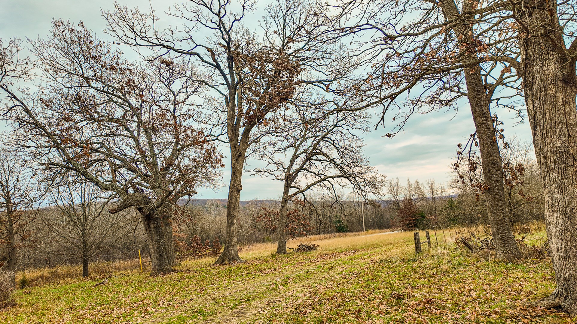 293 +/- acre hunting property for sale Lowry City MO