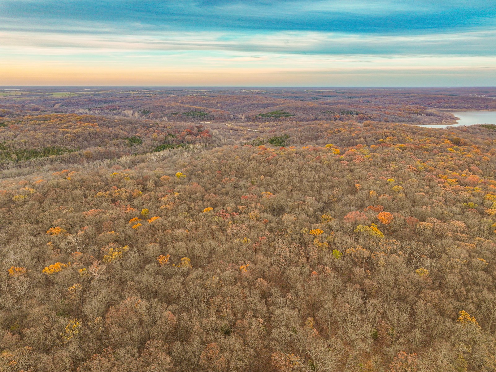 293 +/- acre hunting property for sale Lowry City MO