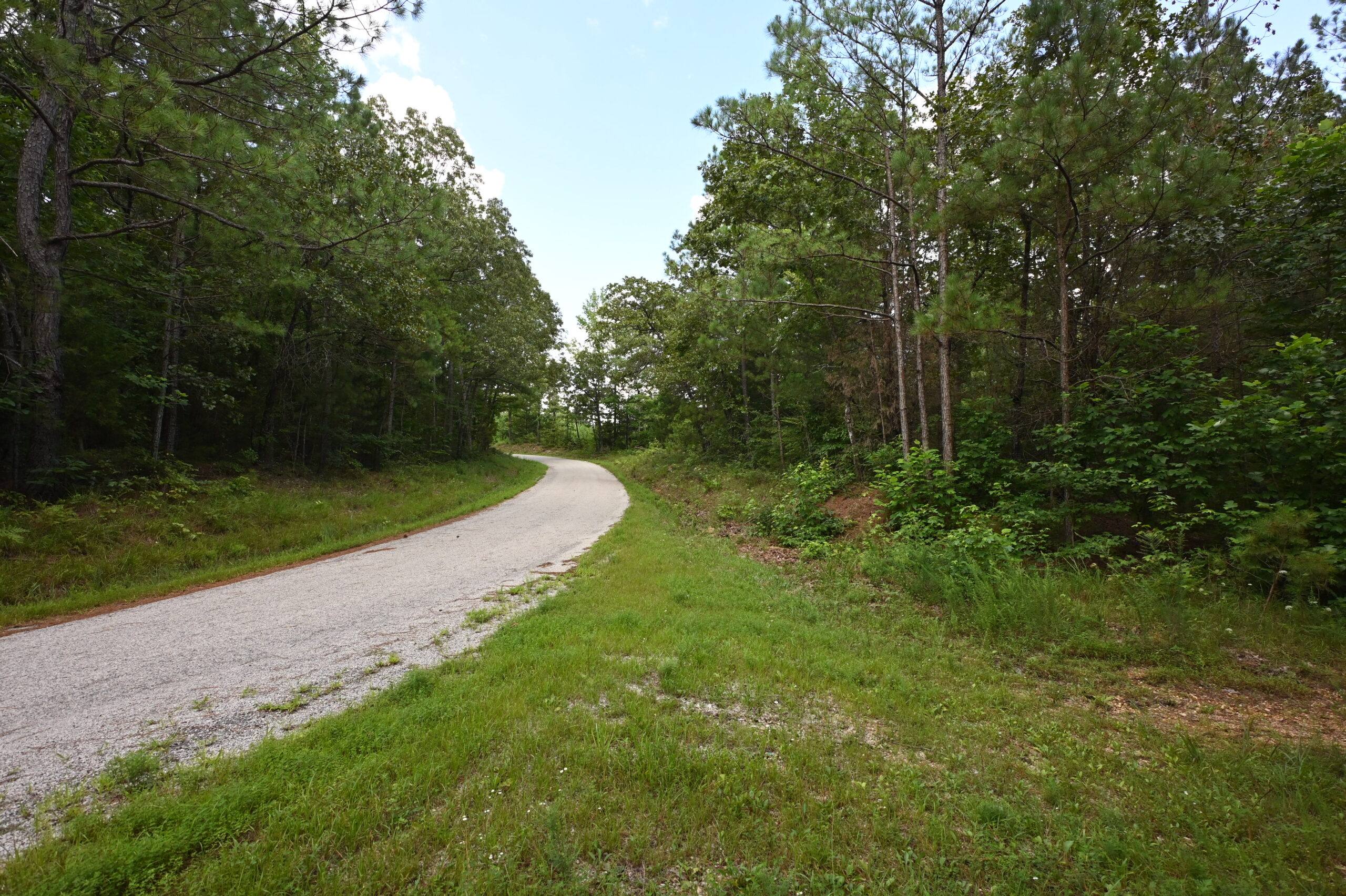 53± Acres for Sale in Decaturville, Tennessee