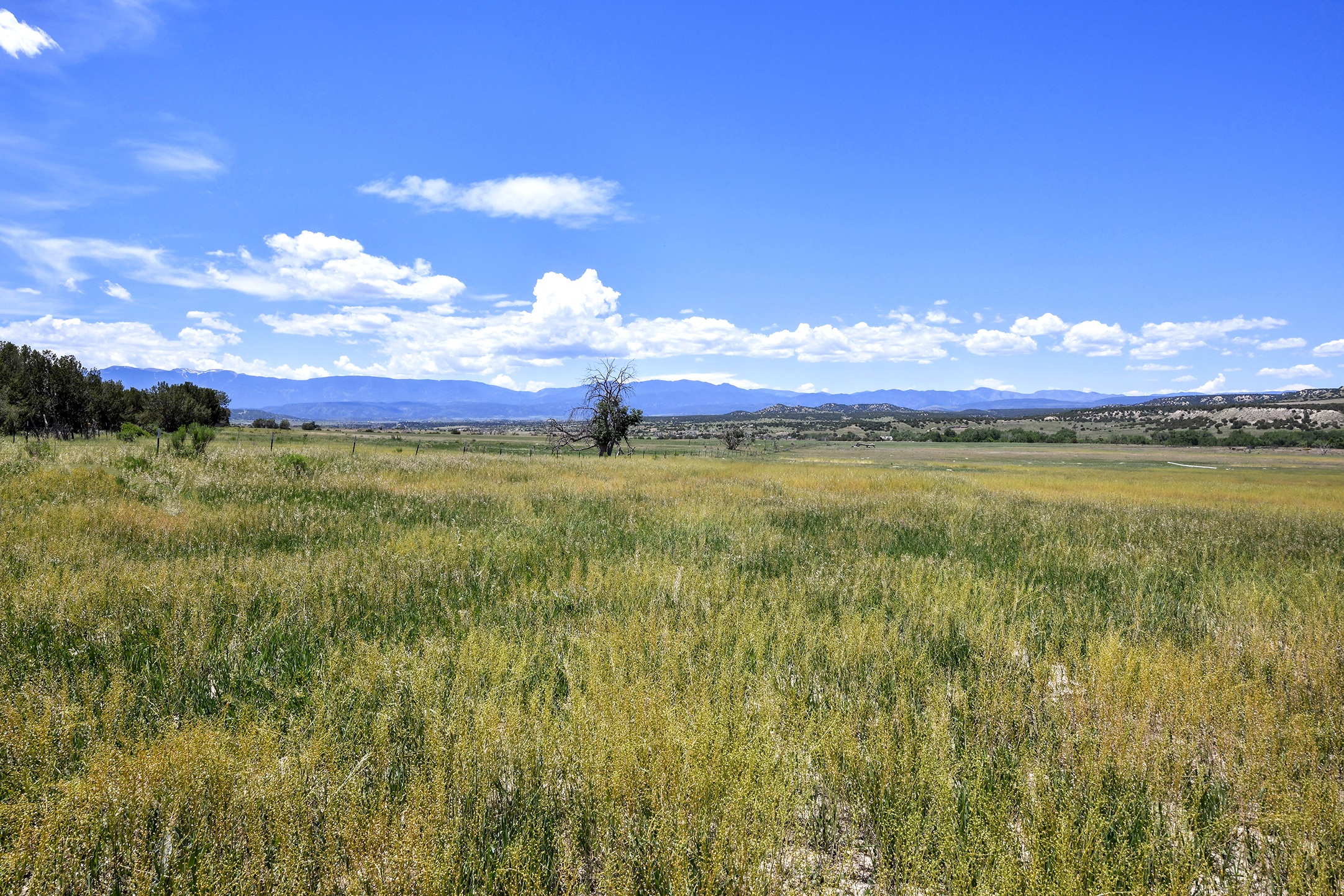 Burnt Mill Ranch – 643± Acres of Prime Colorado Ranchland