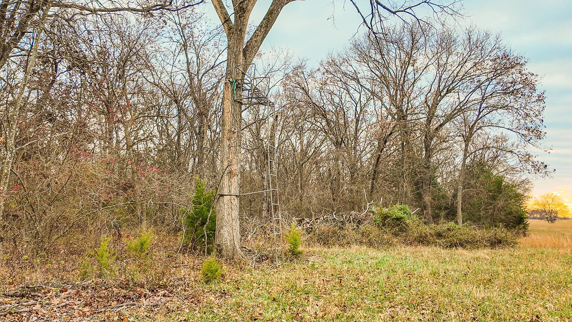 293 +/- acre hunting property for sale Lowry City MO